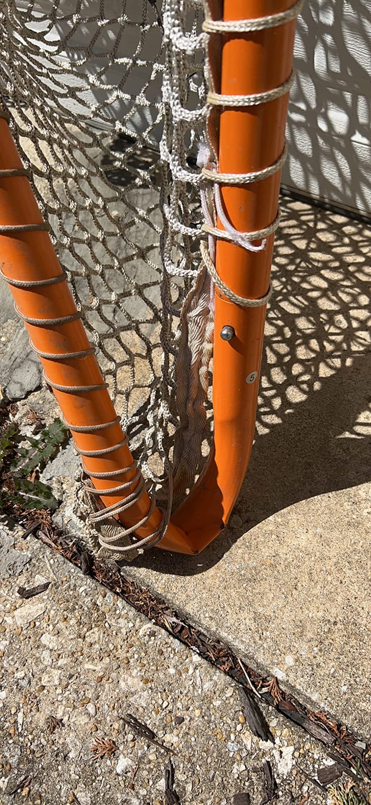 Franklin Sports Franklin Sports Backyard Lacrosse Goal - Kids + Adult Lacrosse Training Net - Lacrosse Training Equipment - Perfect for Youth + Adult Training customer photo 2