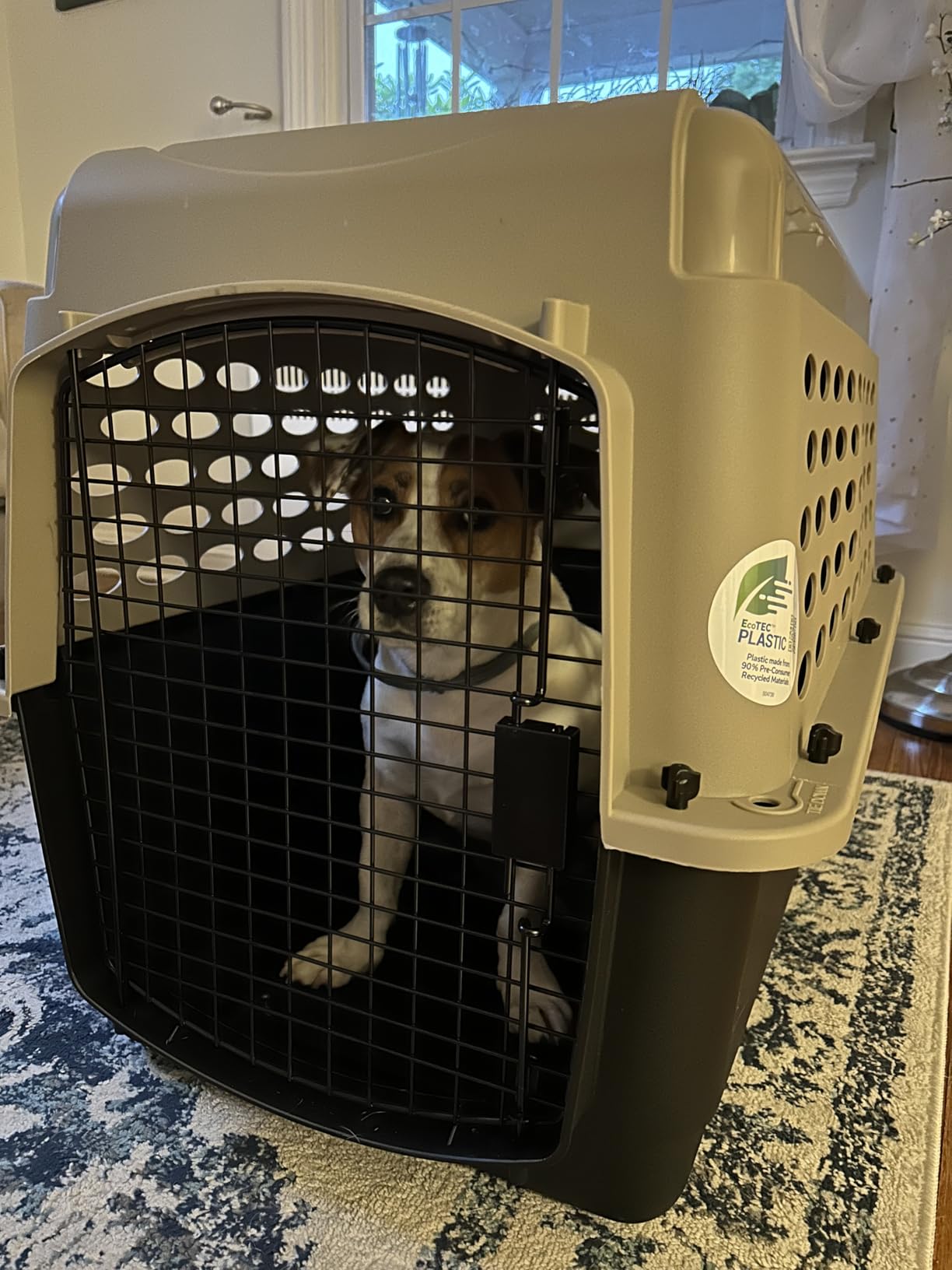 Petmate Vari Dog Kennel, Carrier, 10 to 20lbs, 24in, Taupe and Black customer photo 2
