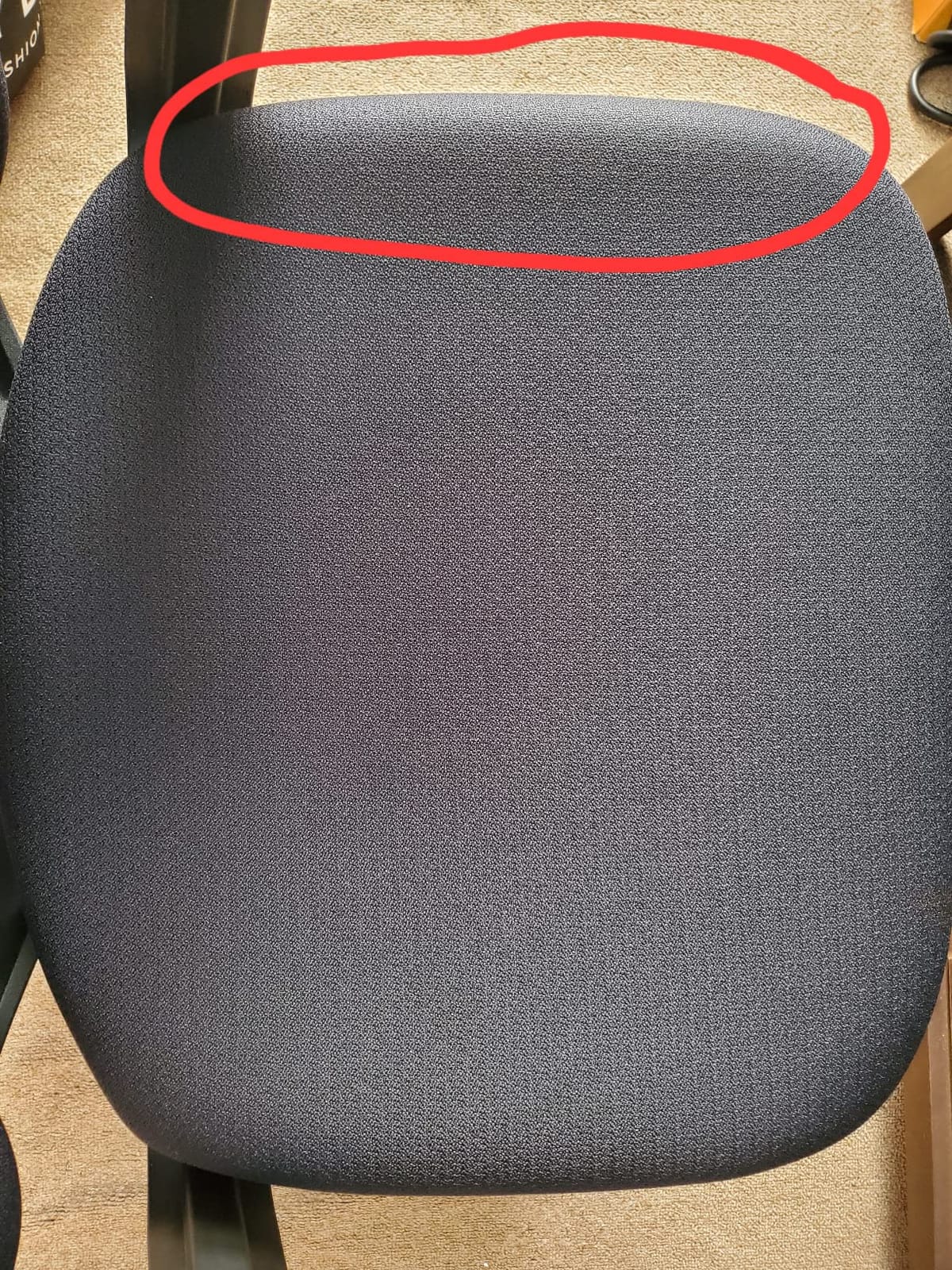 Steelcase Amia Office Chair - Most Comfortable Sit - 4 Points of Adjustability - Ergonomic Desk Chair - Upper Back Support - Adjustable Lumbar Support - Buzz2 Blue Fabric customer photo 1