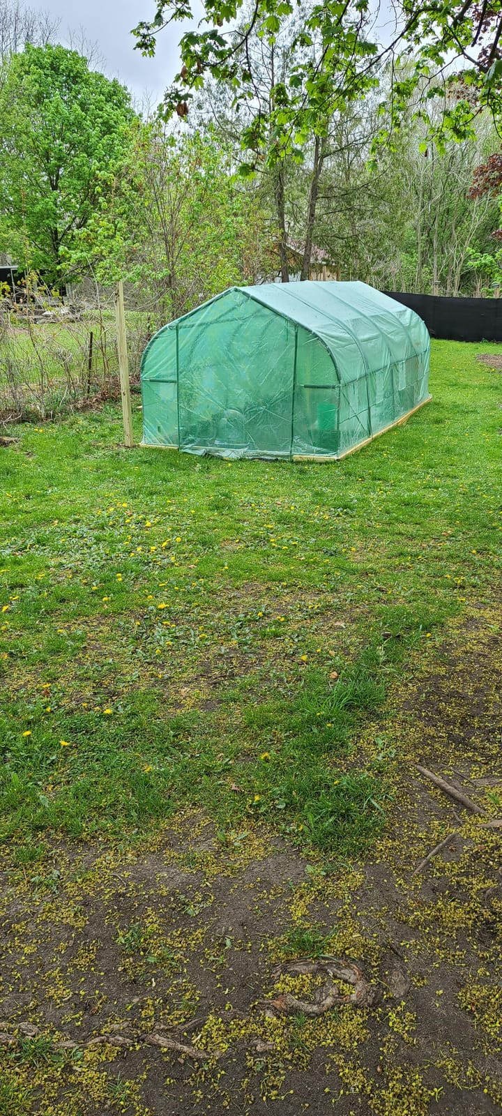 Outsunny 11.5 x 10 x 6.5 ft Outdoor Walk-in Greenhouse Zippered Door Green customer photo 2