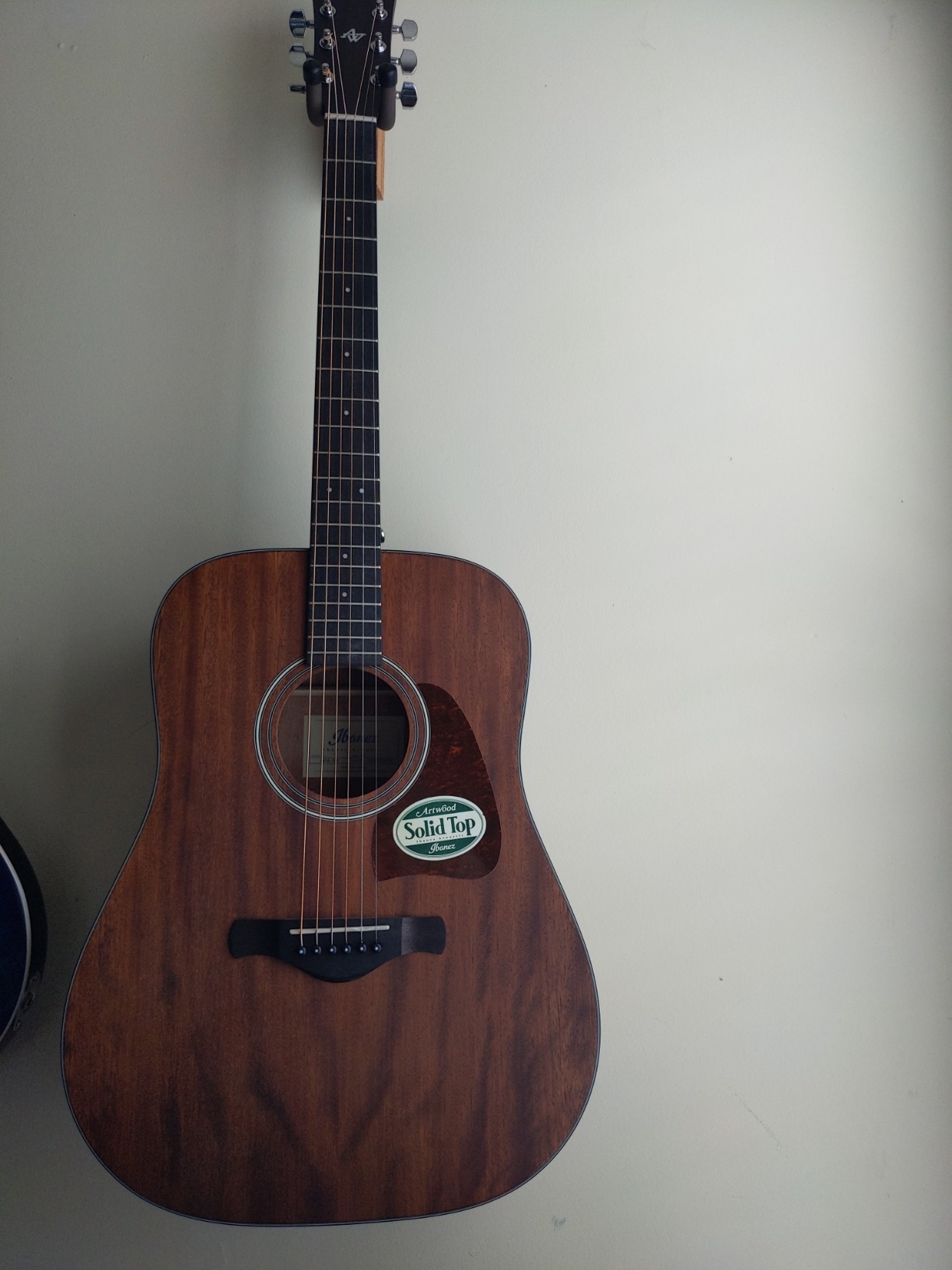 Ibanez Artwood Dreadnought Acoustic Guitar-Open Pore Natural customer photo 2