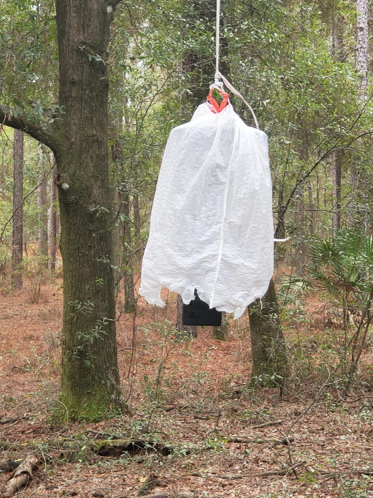WILDGAME INNOVATIONS Quick-Set 50 lb Bucket Feeder with PCell Timer Hanging Wildlife Feeder for Corn & Pellet Feed with 1-2 Available Feed Times & 30 ft Radius customer photo 1