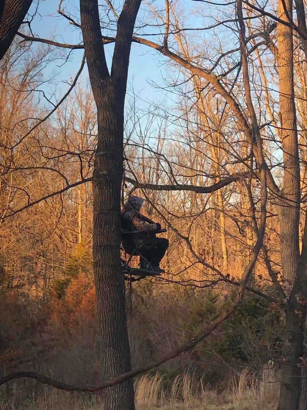 Summit Treestands Mini Viper SD Climbing Treestand, Mossy Oak customer photo 1