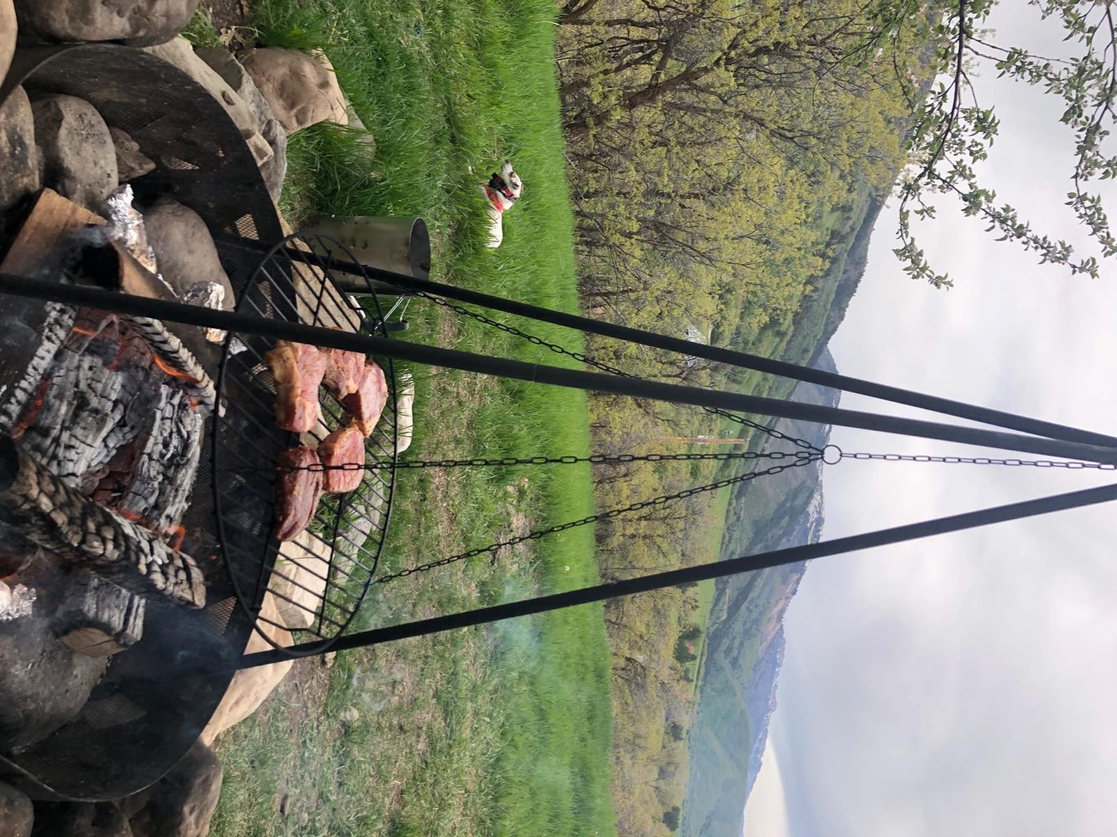 Sunnydaze Over the Fire Camping Grill Grate, Campfire Tripod, 22