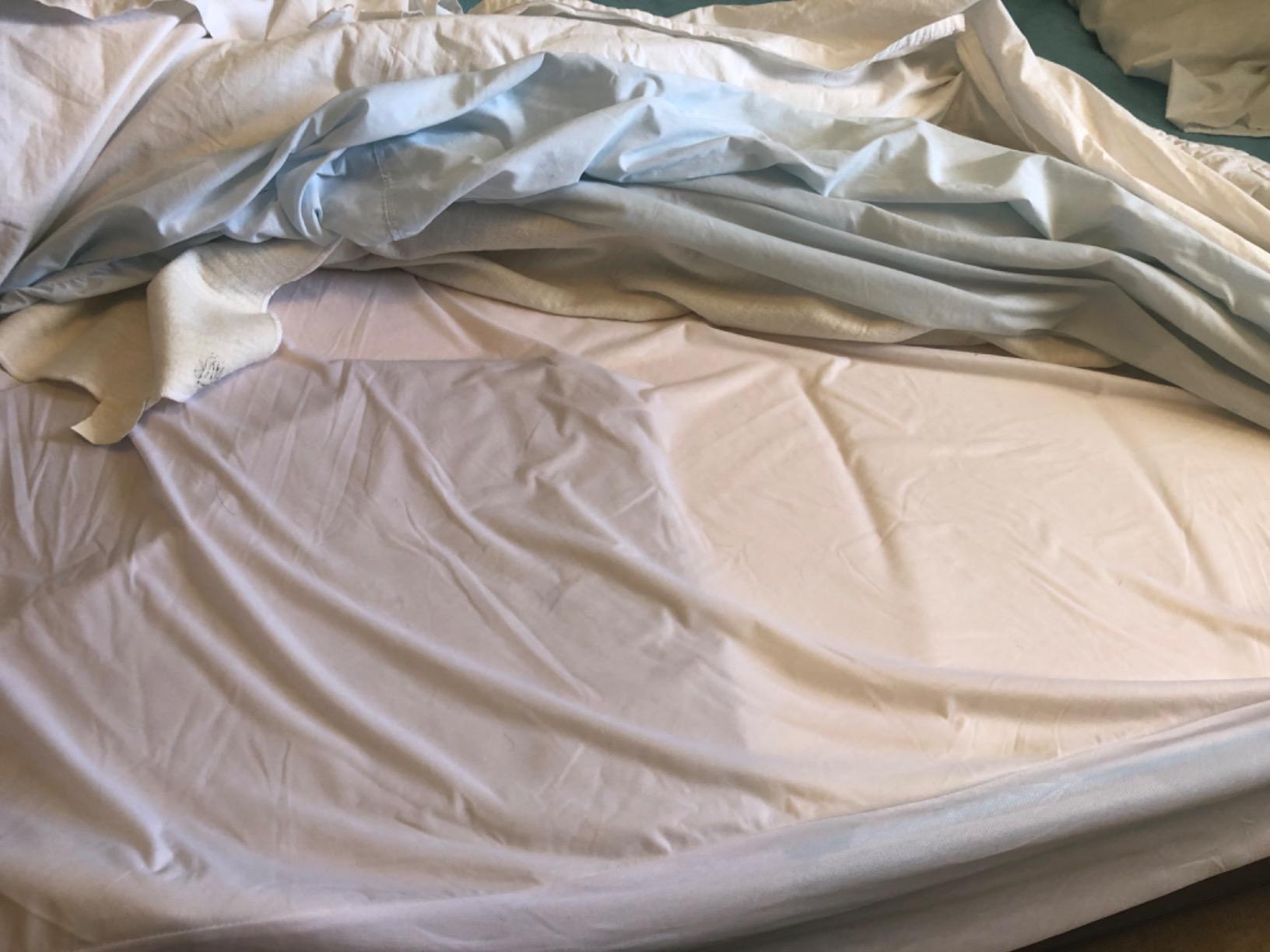 Linenspa Waterproof Mattress Protector — Breathable, Noiseless, Full customer photo 1