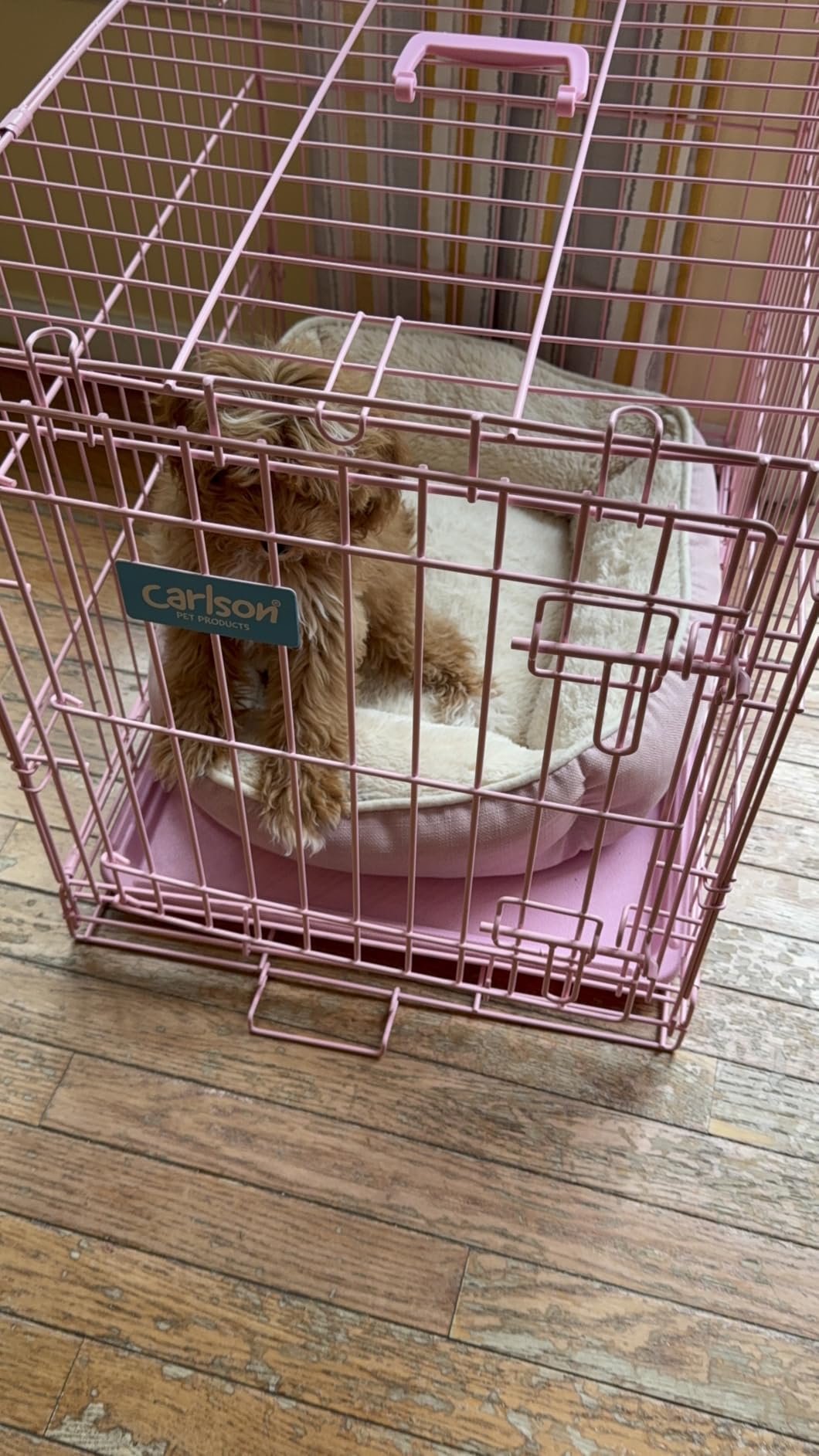Carlson Pink Secure and Compact Single Door Metal Dog Crate, Small customer photo 2