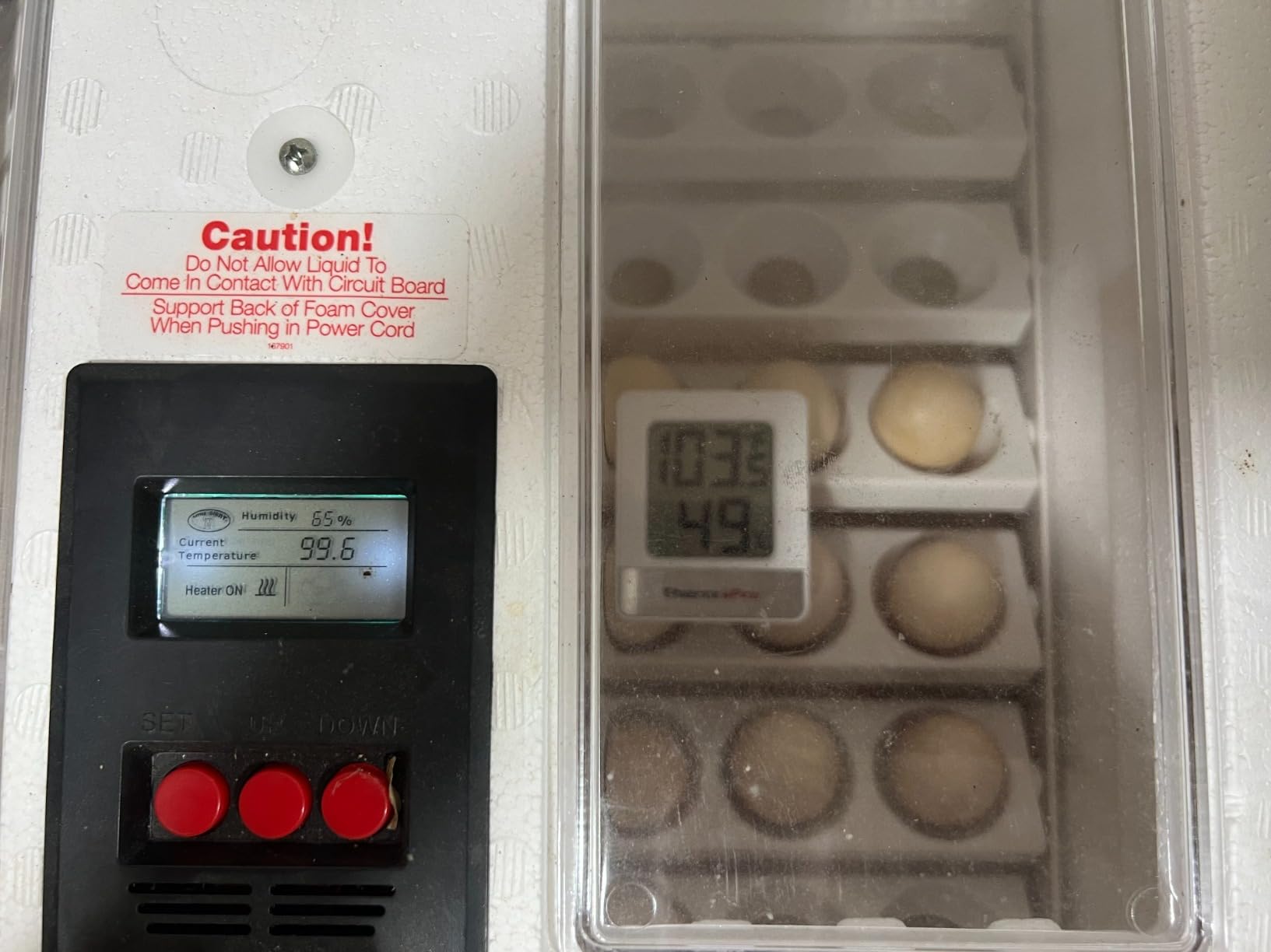 Little Giant Deluxe Incubator w/Egg Turner customer photo 2
