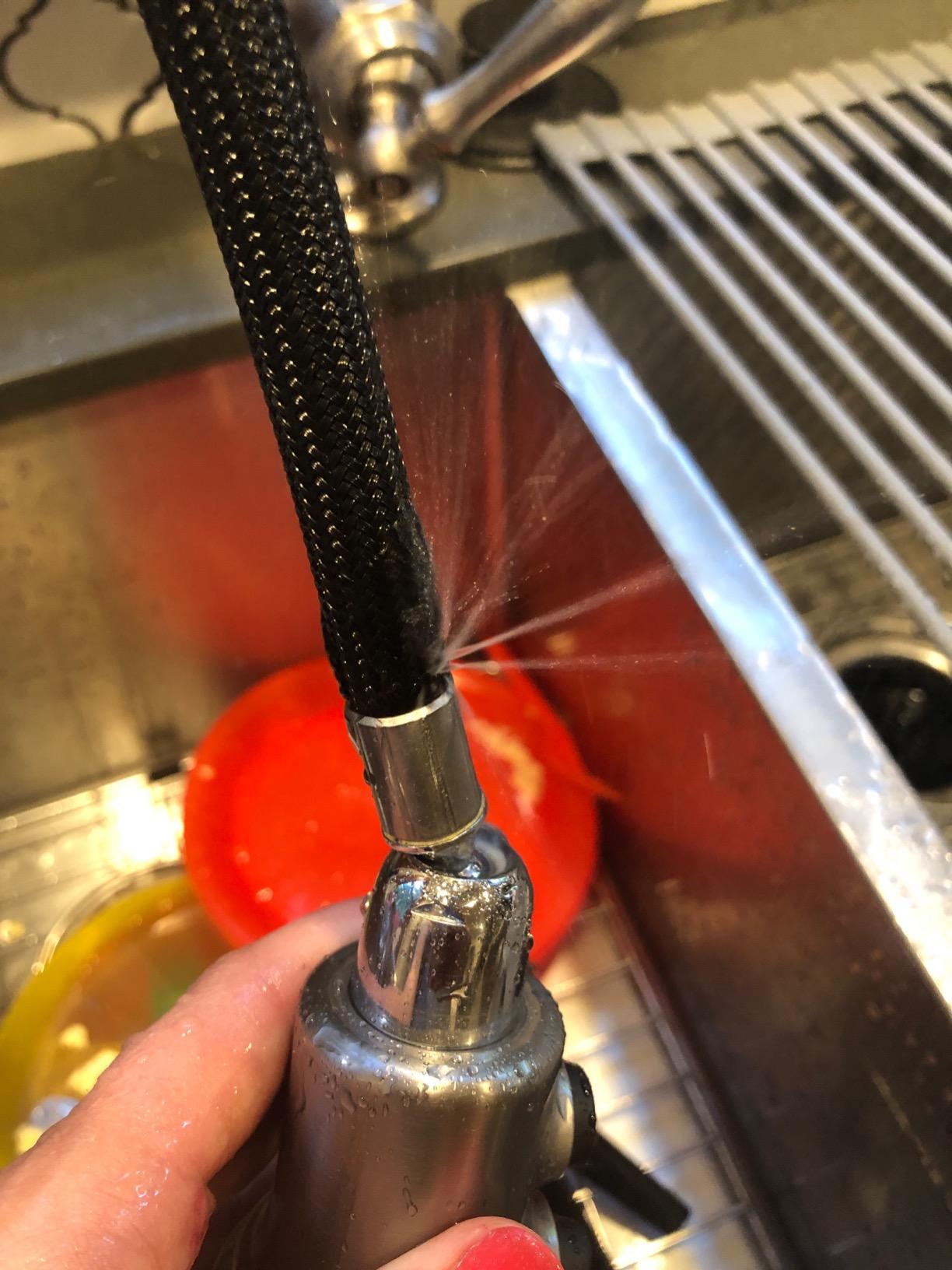 KOHLER K-99259-VS Artifacts Kitchen Sink Faucet, 17.63 x 4.31 x 8.50 Inches, Vibrant Stainless customer photo 1