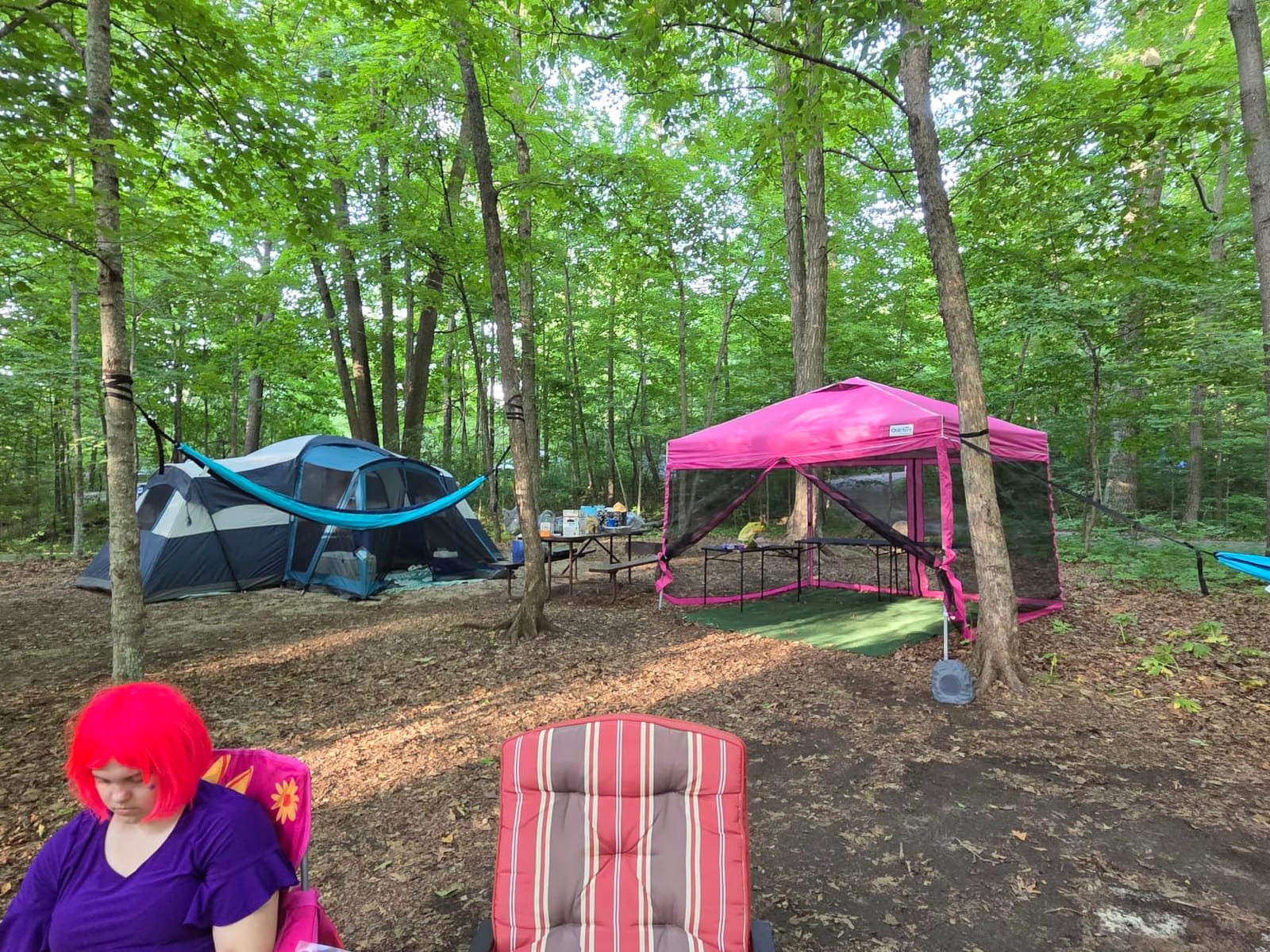 Quictent 10'x10' Pop up Screened Canopy Tent with Mosquito Netting customer photo 2