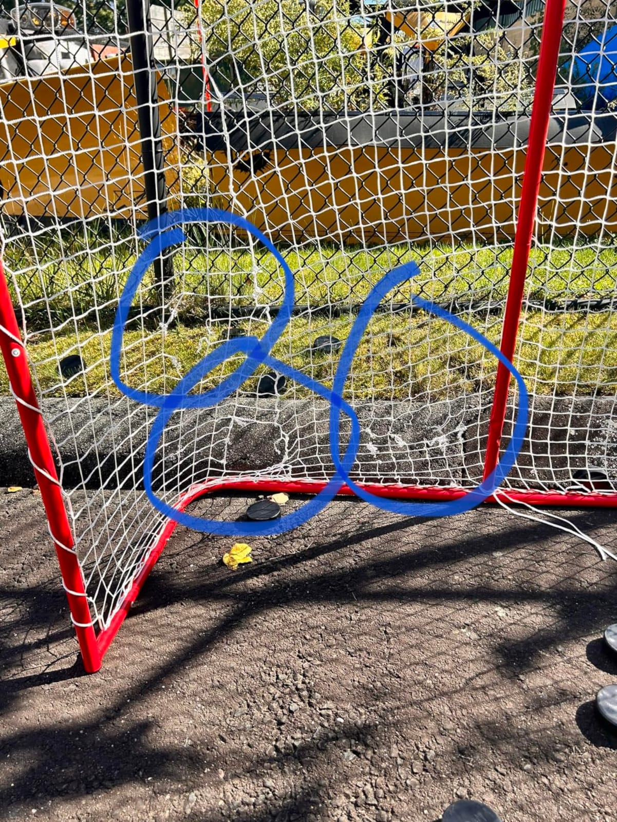 Franklin Sports NHL Youth Steel Roller Hockey Goal customer photo 2