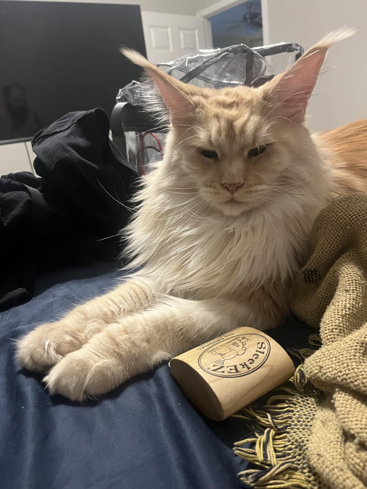 SleekEZ Cat Brush for Shedding - Deshedding Brush for Cats - Patented Grooming Tool for Removing Loose Fur, Undercoat & Hair - Made in USA - Works on Short, Medium & Long Coats customer photo 2
