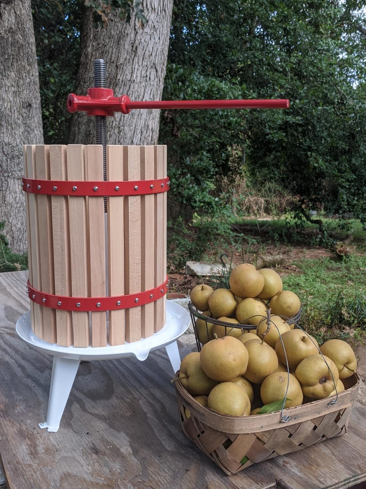 it's useful. 4.75 Gallon Solid Wood Basket Fruit, Cider and wine Press Old Fashioned Cast Iron Large Size customer photo 1