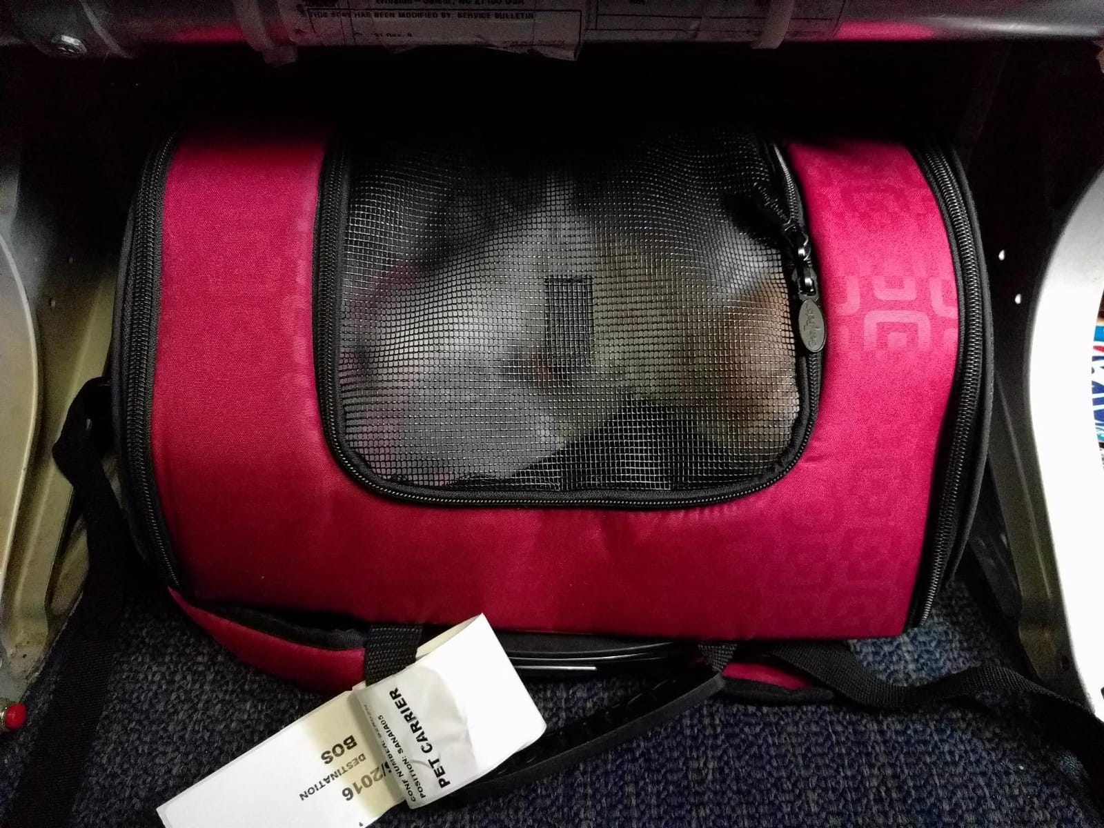 Gen7Pets Dog Carrier - Large Red Roller Bag Pet Carrier customer photo 2