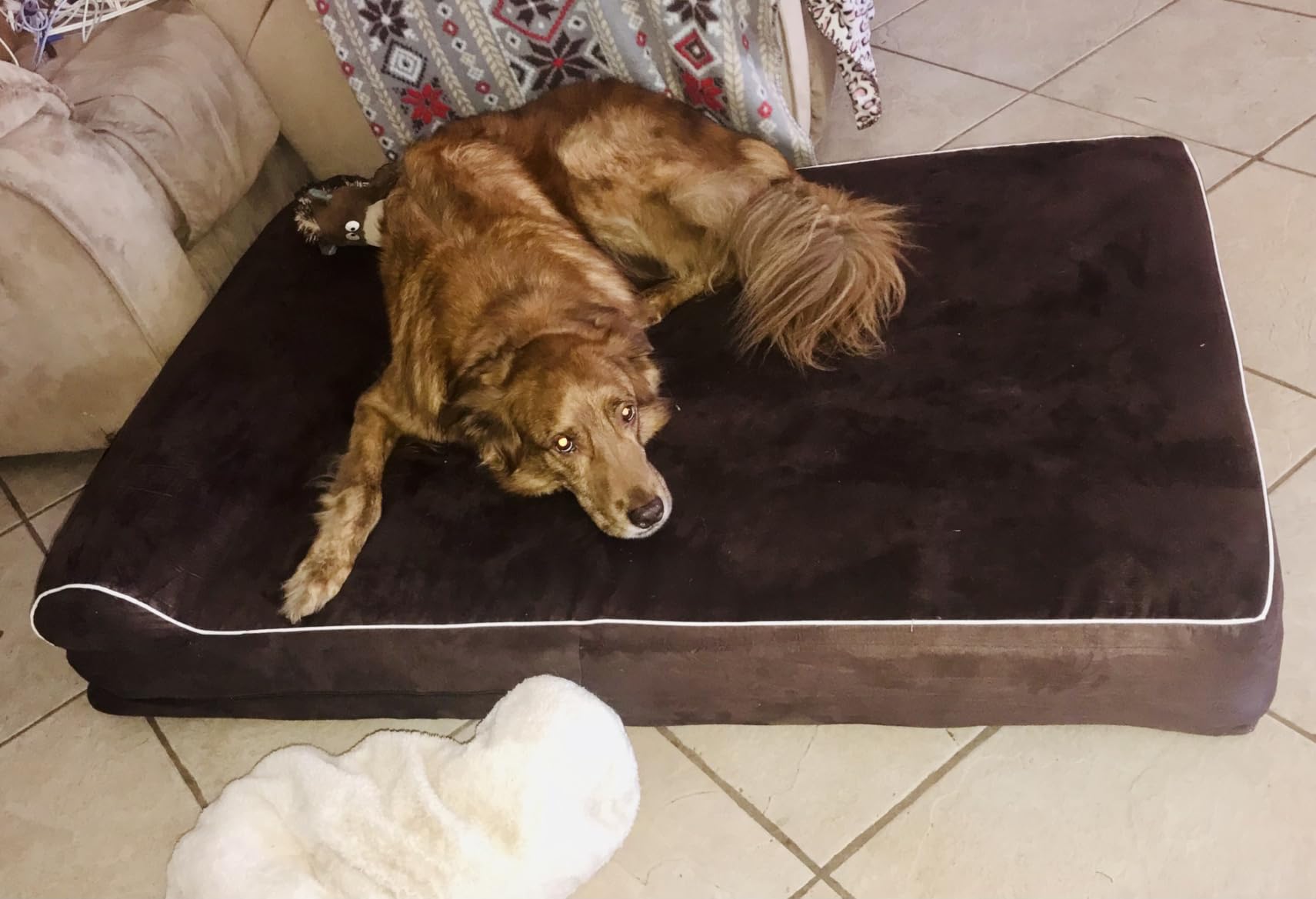KOPEKS Orthopedic Memory Foam Dog Bed 7