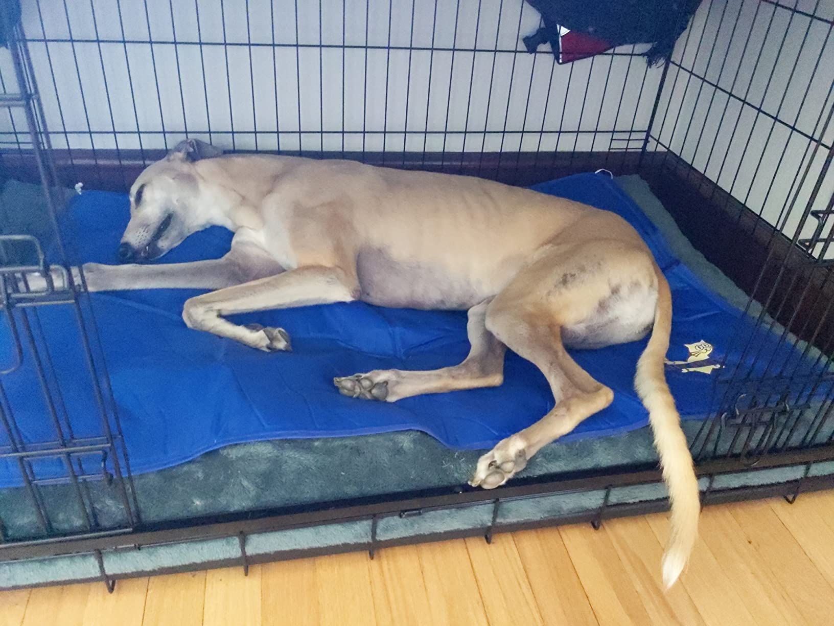 Arf Pets Dog Cooling Mat - Solid Gel Self-Cool Pad | Durable & Non-Toxic customer photo 1