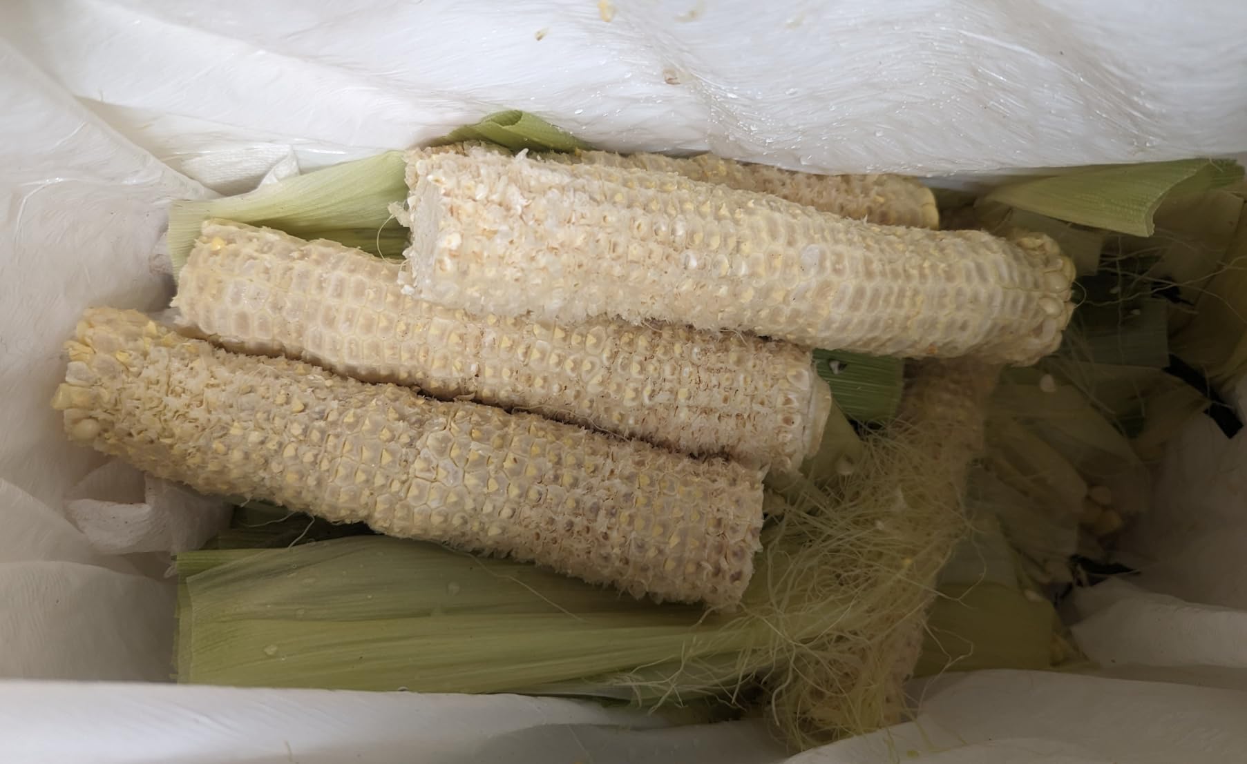 Chef'n 102-812-017 Cob Corn Stripper customer photo 2