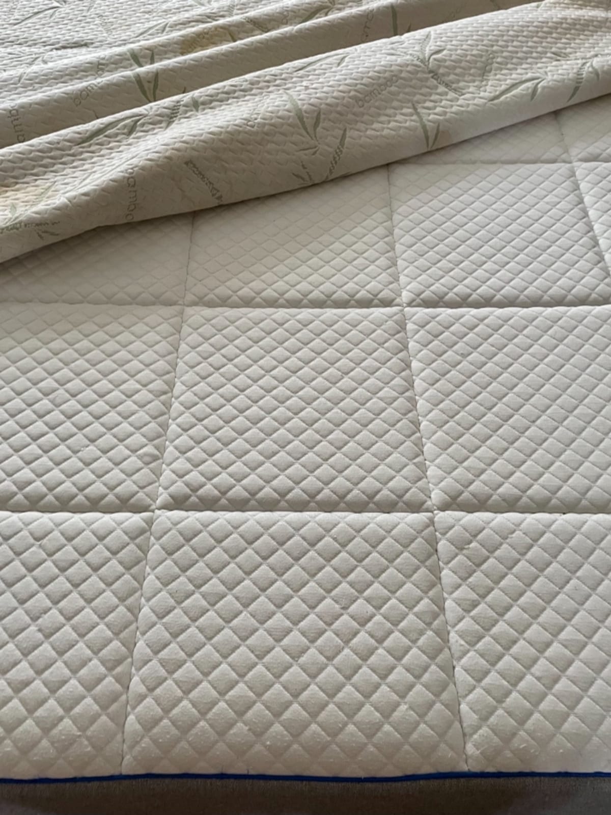 Bamboo Viscose Waterproof Mattress Protector Queen Size, 17