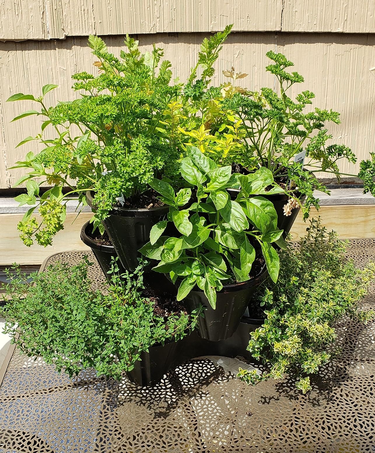 Stacking Planter Tower- 3-Tier Space Saving Flower Pots- Set of 3 Indoor/Outdoor Vertical Herb & Vegetable Garden by Pure Garden (Terracotta Colored) customer photo 1