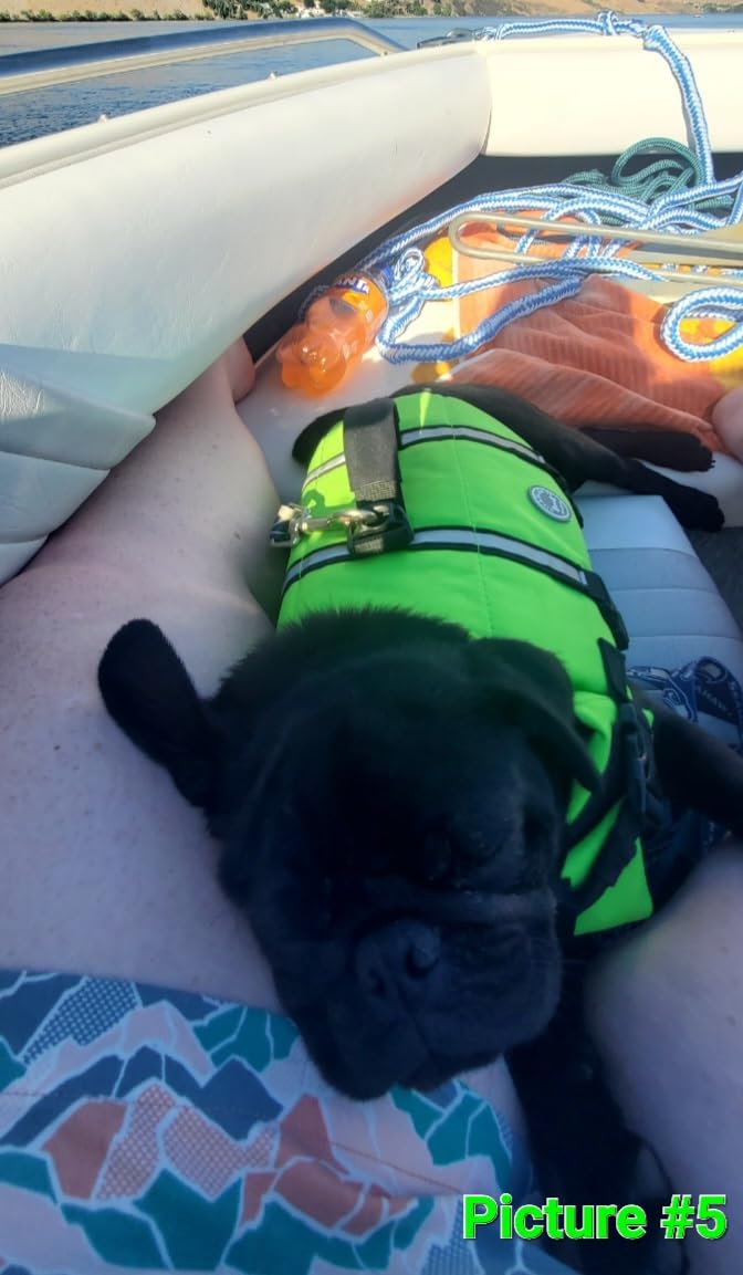 VIVAGLORY Dog Life Vest Rip Stop Dog Swim Vest, M, Bright Green customer photo 1