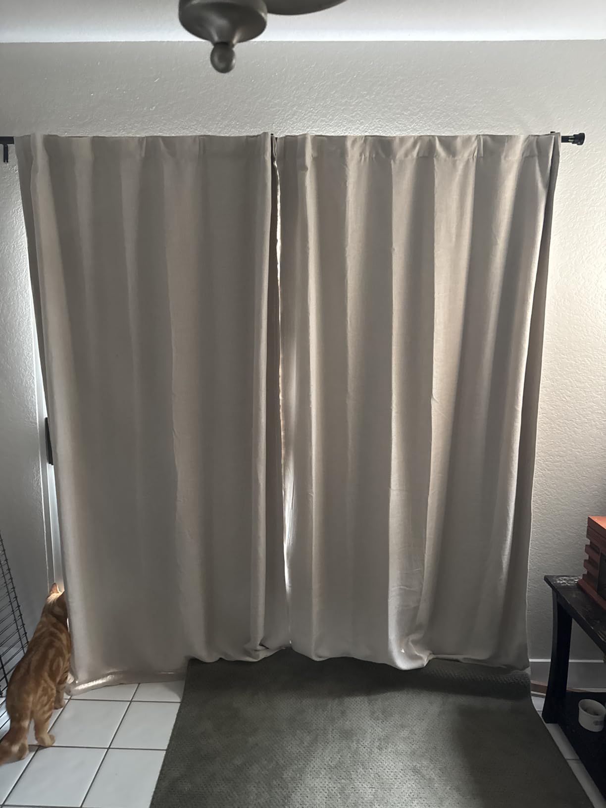 NICETOWN Extra Wide Patio Door Curtain - Energy Smart & Noise Reducing Grommet Thermal Insulated Wide Width Drapes, Sliding Door Curtain for Guestroom(Biscotti Beige, W100 x L84) customer photo 1