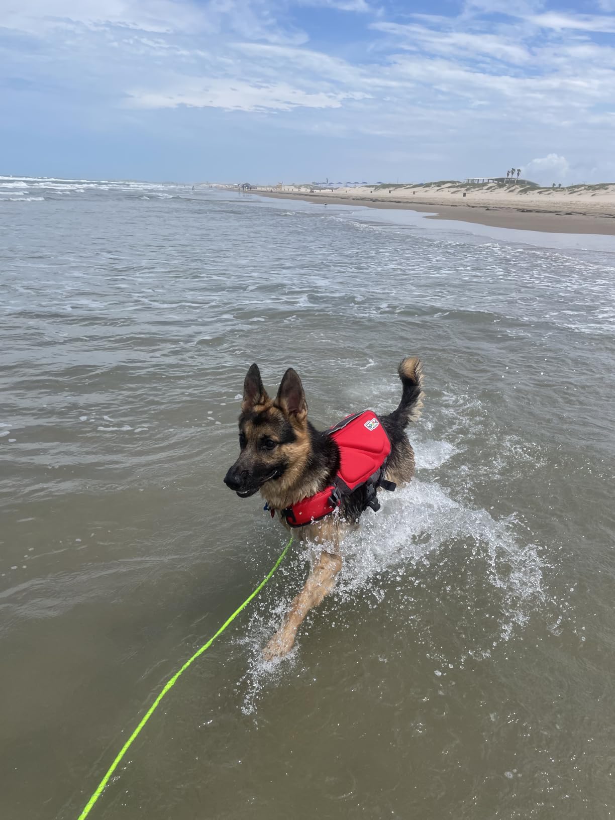Outward Hound Dawson Swim Dog Life Jacket, Life Vest, Red, Medium customer photo 1