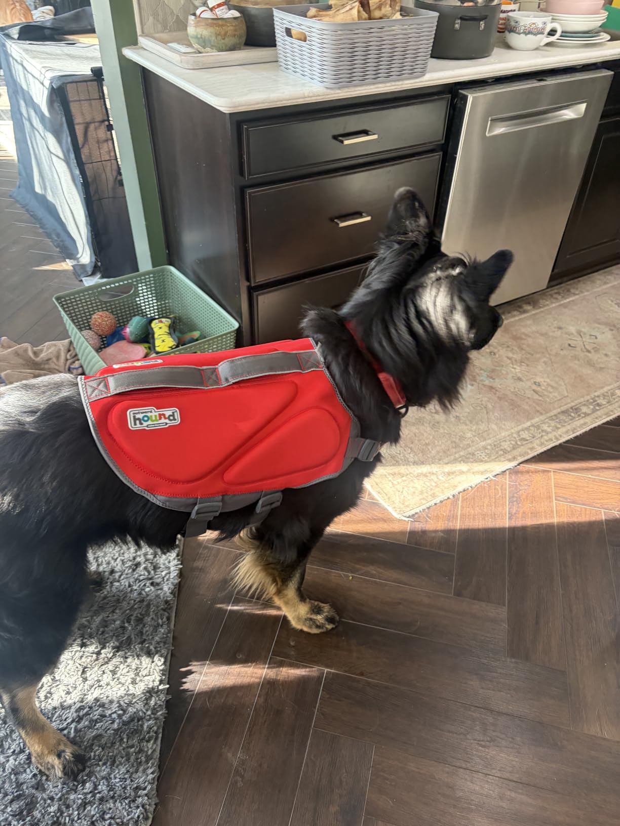 Outward Hound Dawson Swim Dog Life Jacket, Life Vest, Red, Medium customer photo 2