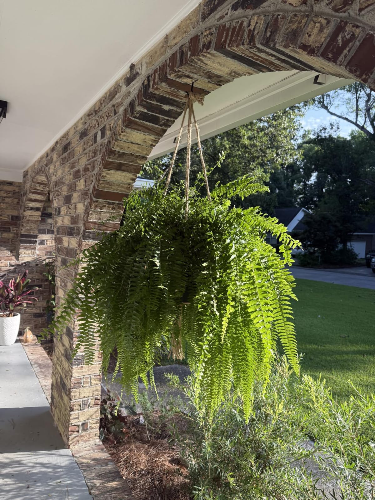 EBOOT 2 Pack 48 Inch Macrame Plant Hanger, Linen Color, 4 Legs customer photo 2