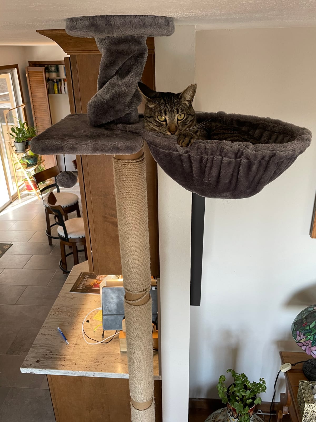 Roypet Adjustable 93