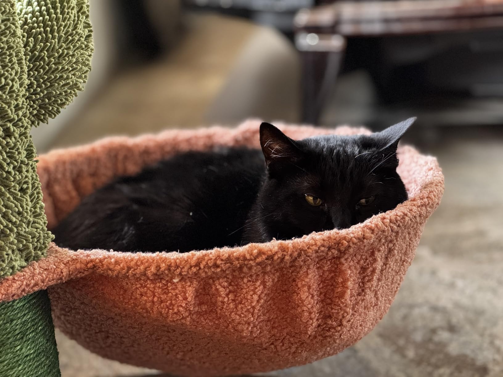 Roypet Adjustable 93