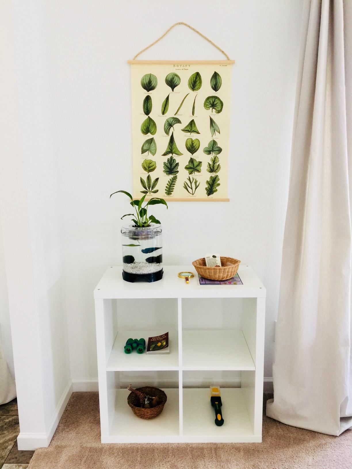 Penn-Plax Aquaponic Planter and Aquarium for Betta Fish | Tank Promotes Healthy Hydroponic Environment for Plants and Fish customer photo 1