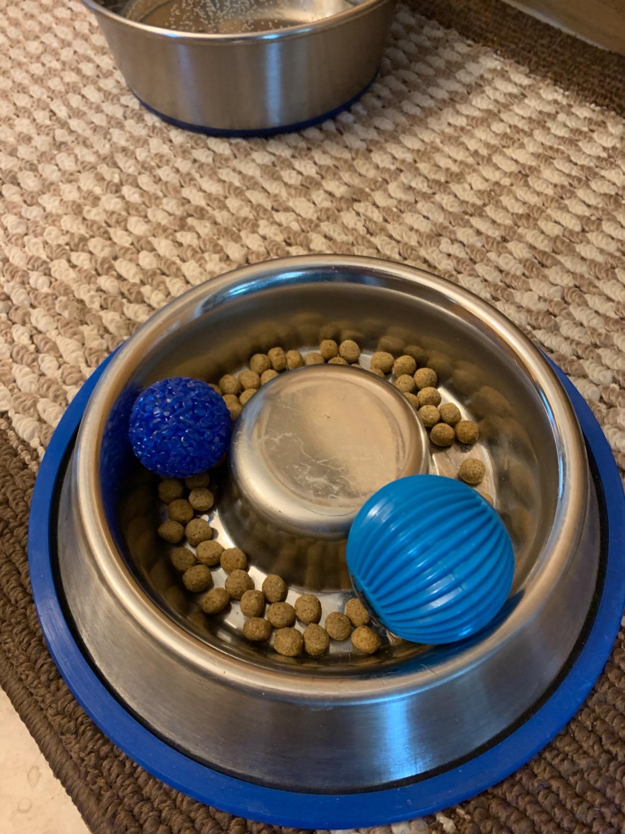 Mr. Peanut's Stainless Steel Interactive Slow Feed Dog Bowl with a Blue Base, Fun Healthy Bloat Stop Feeder (Large) customer photo 1