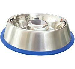 Mr. Peanut's Stainless Steel Interactive Slow Feed Dog Bowl with a Blue Base, Fun Healthy Bloat Stop Feeder (Large) customer photo 2