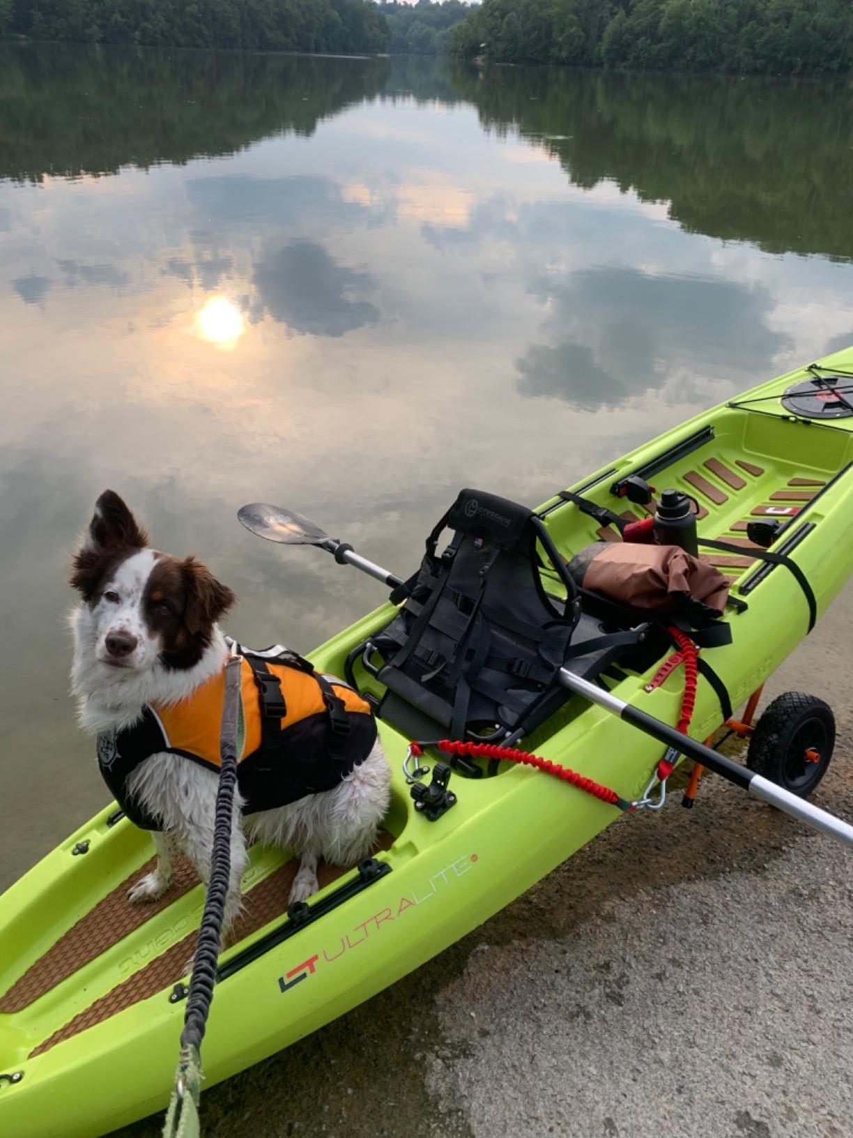 Kayak Cart – 150 Lbs Capacity Canoe Dolly with Airless Tires, Foldable Aluminum Frame, and Carrying Bag for Personal Watercraft by Rad Sportz (Orange) customer photo 1