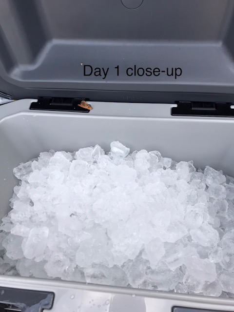 Igloo BMX Cooler | Insulated Hard Shell Ice Chest customer photo 2