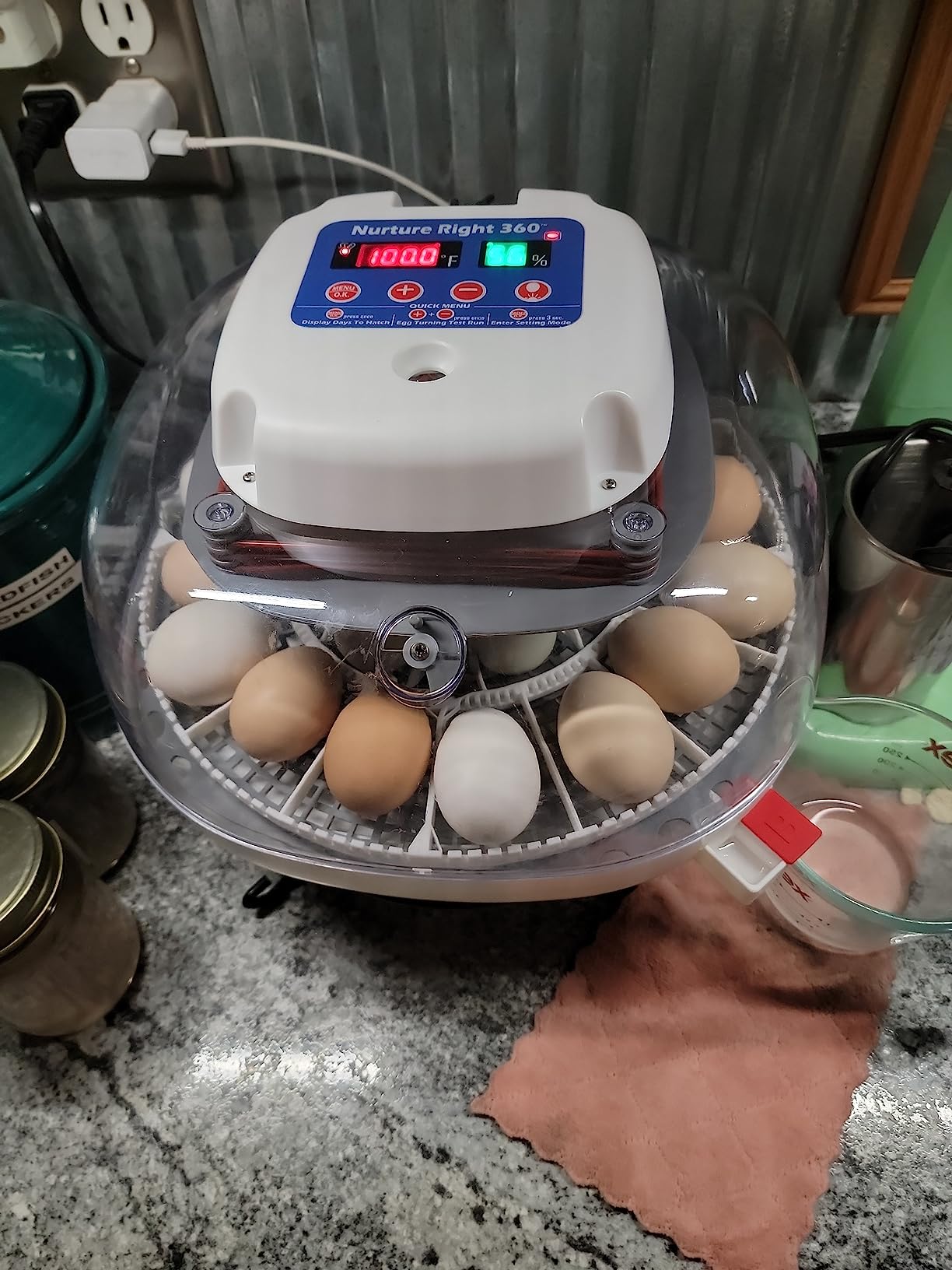 Harris Farms Nurture Right Egg Incubator with Auto Turner, Holds 22 Eggs customer photo 2