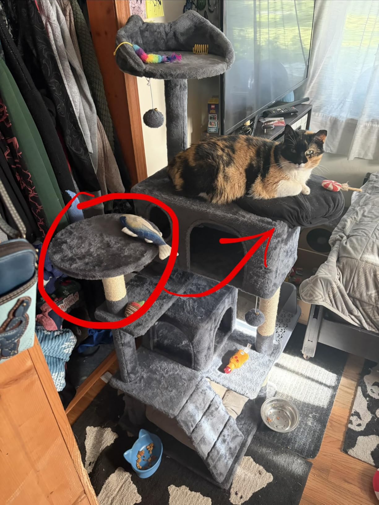Yaheetech 54in Cat Tree Tower, 2 Caves, Kitten-Ear Perch & Scratching Posts customer photo 2