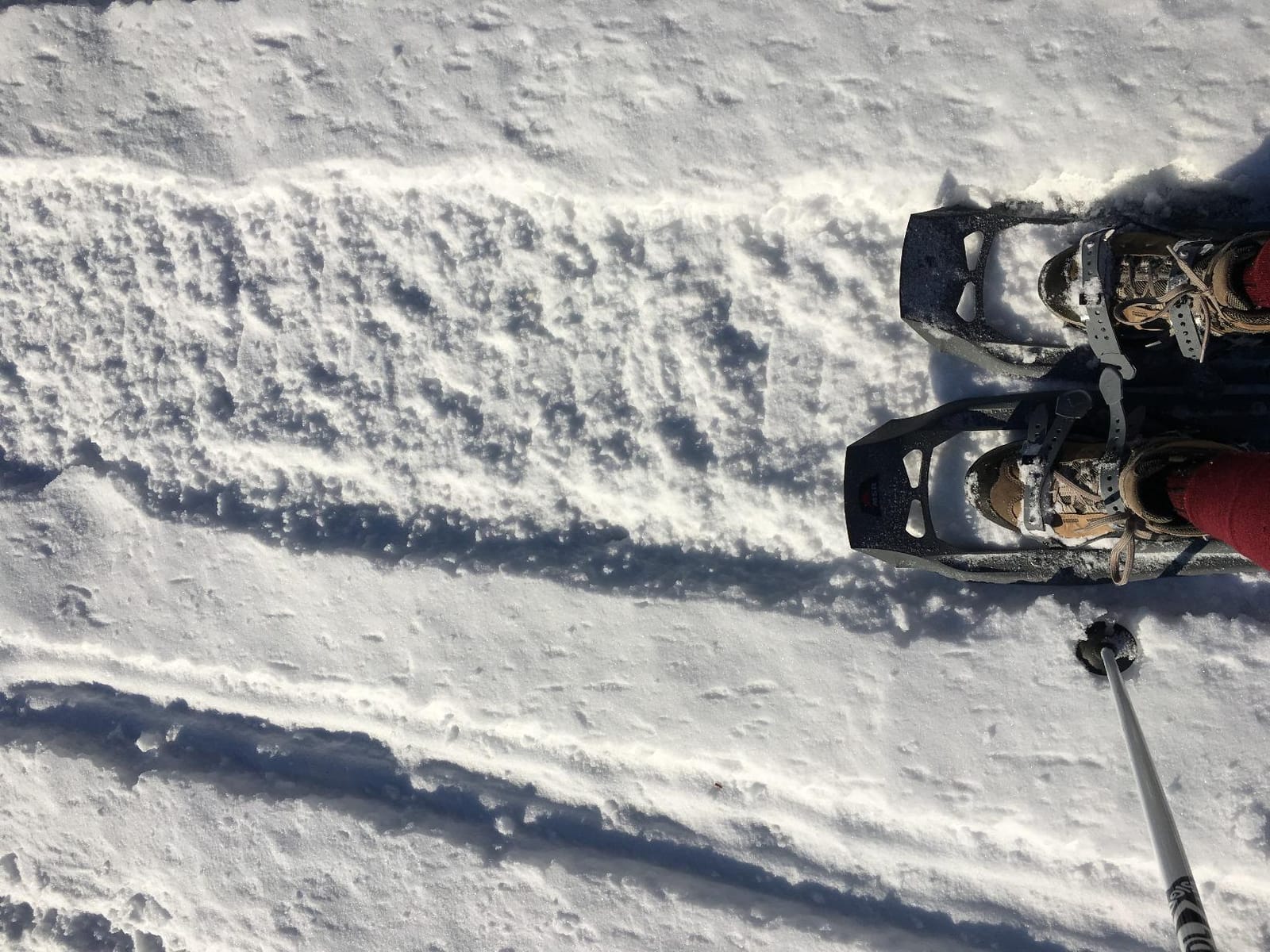 MSR Hiking Snowshoes customer photo 2