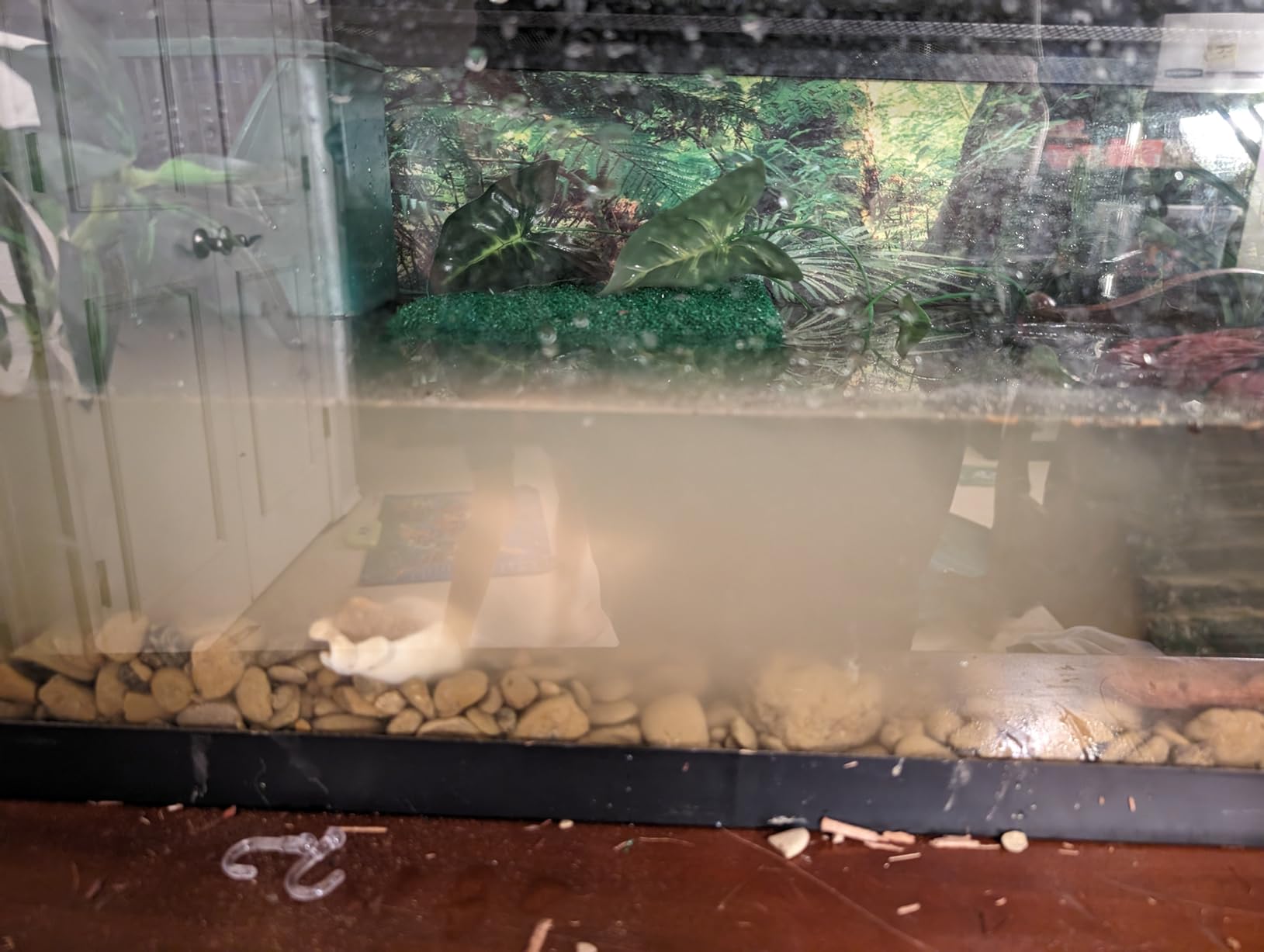 Zilla Aquatic Reptile Internal Filter for Turtles and Amphibians, Medium customer photo 1