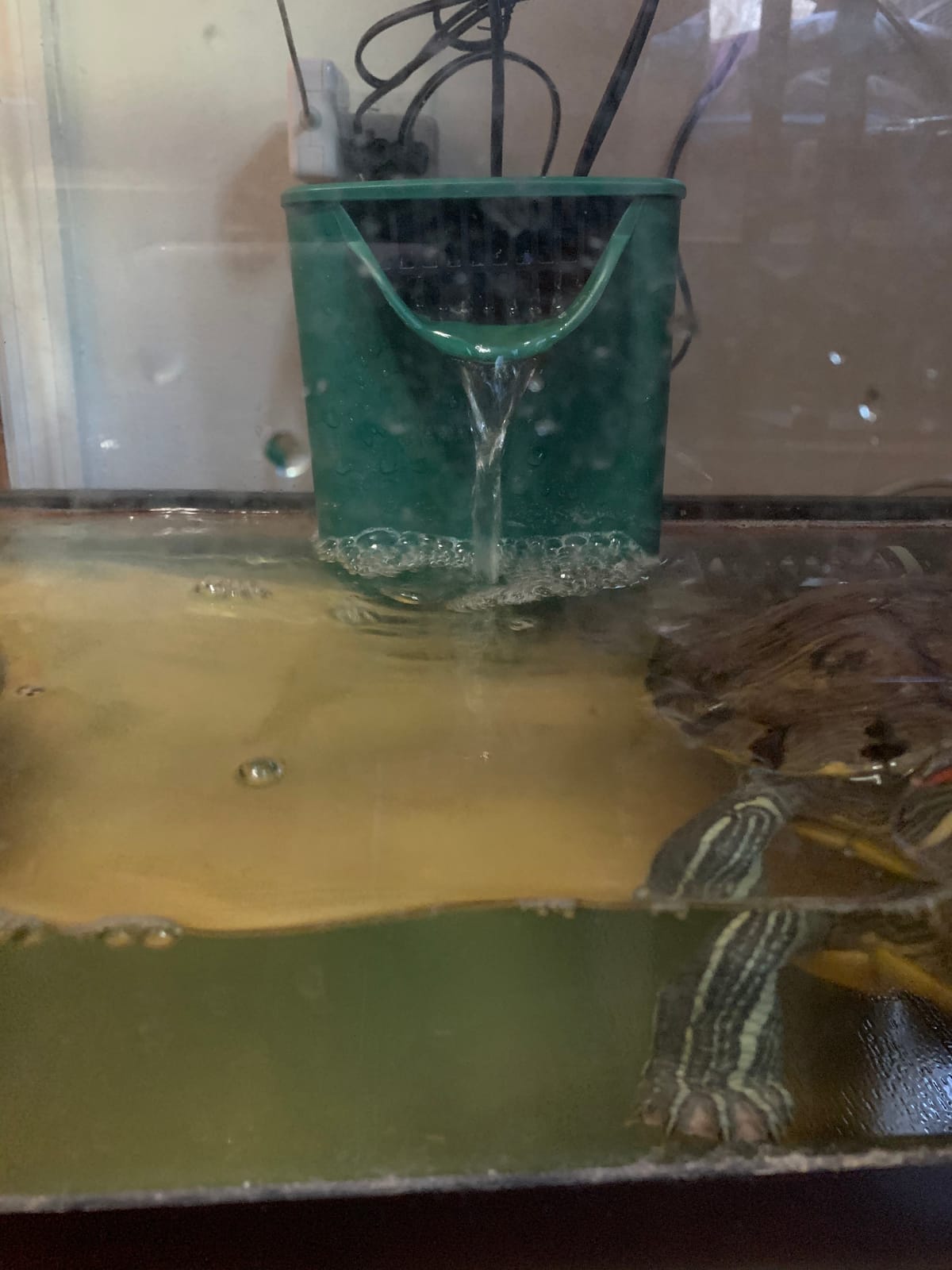 Zilla Aquatic Reptile Internal Filter for Turtles and Amphibians, Medium customer photo 2