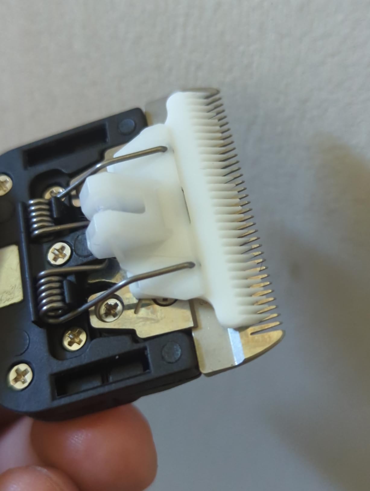 Dog Shears Clippers for Grooming Sheep Shears for Dogs With Thick Hair customer photo 2