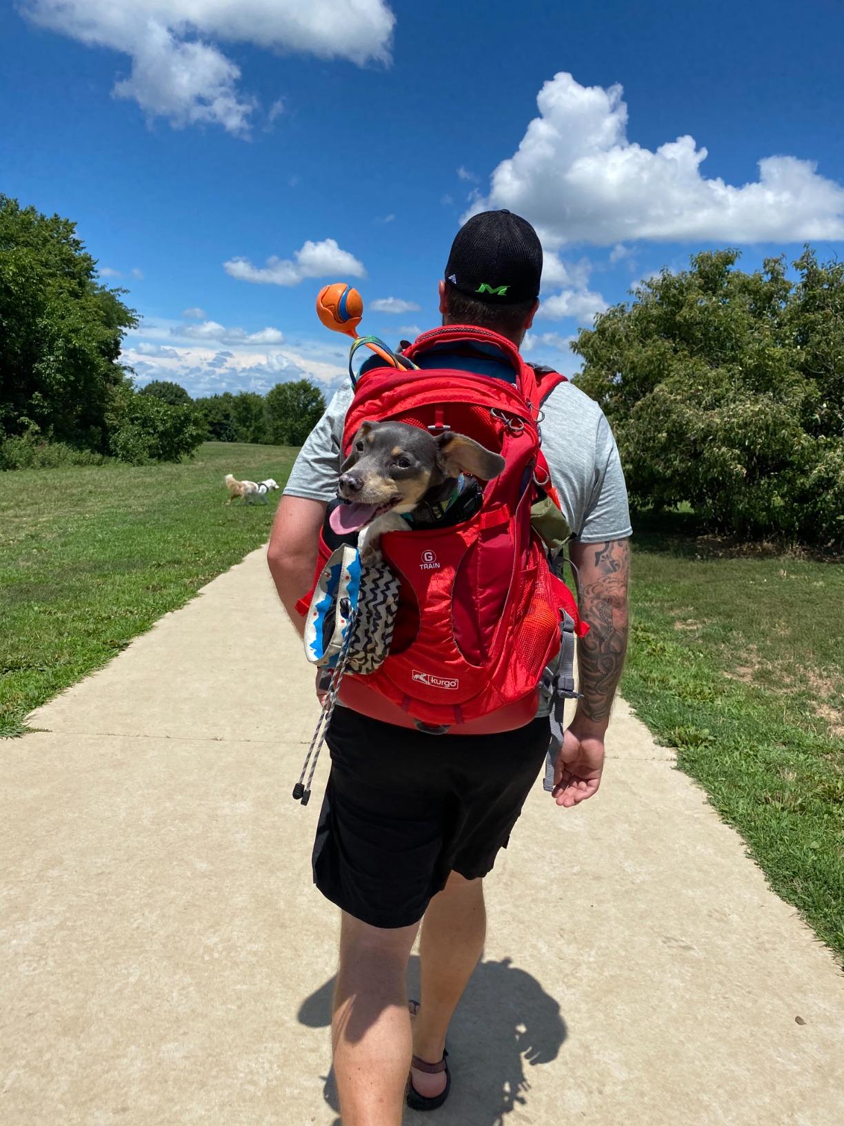 Kurgo G-Train Pet Carrier Backpack, Red customer photo 1