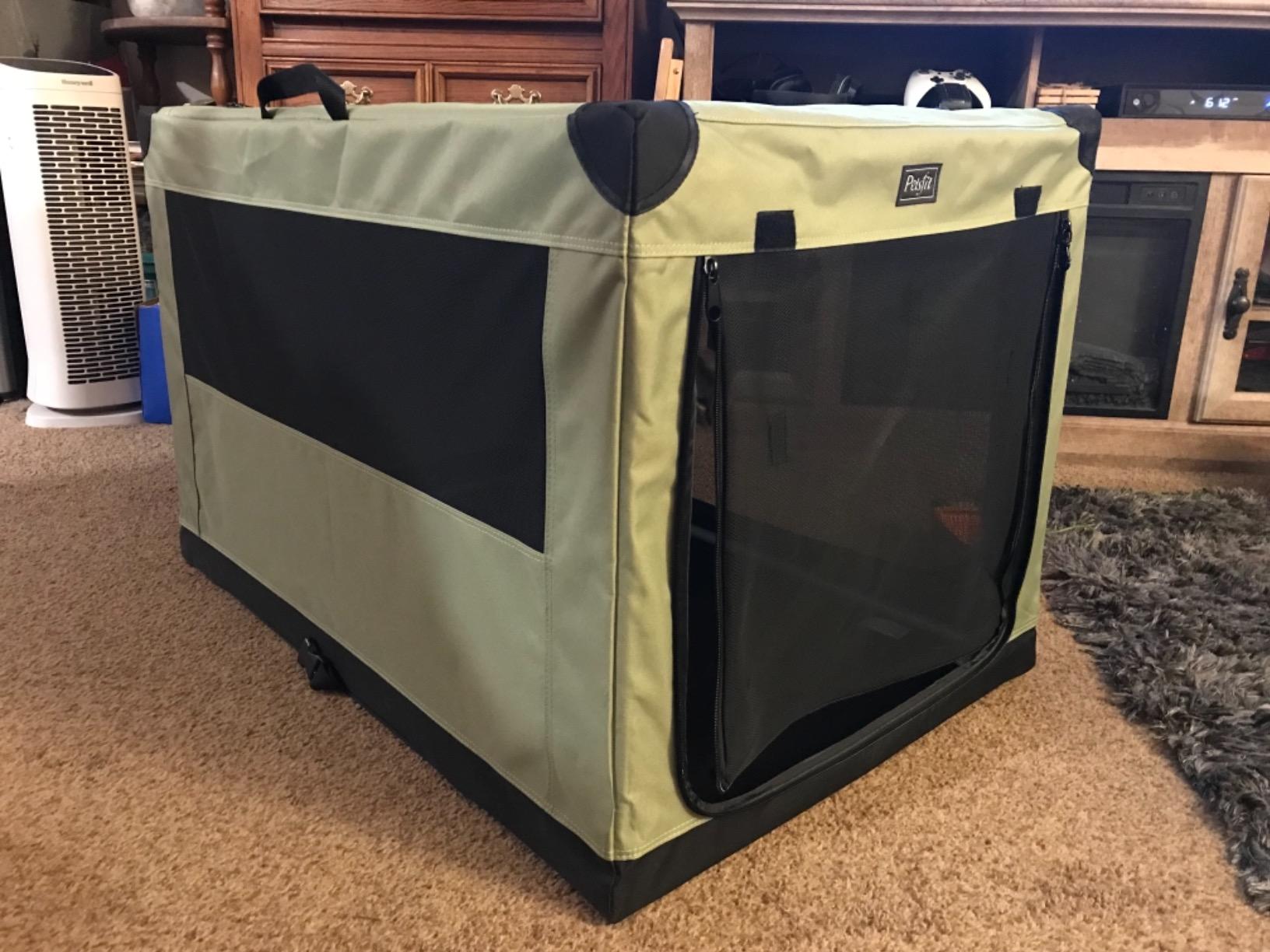 PETSFIT 36