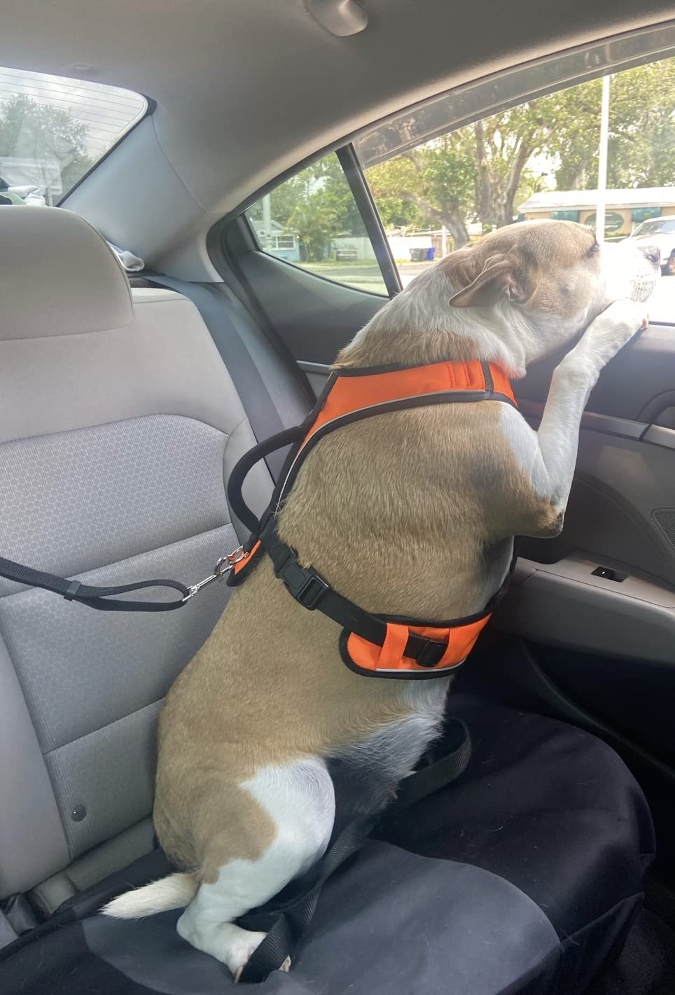 BWOGUE Dog Seat Belt for Car, Headrest Restraint Safety Lead, Dogs Cats customer photo 2