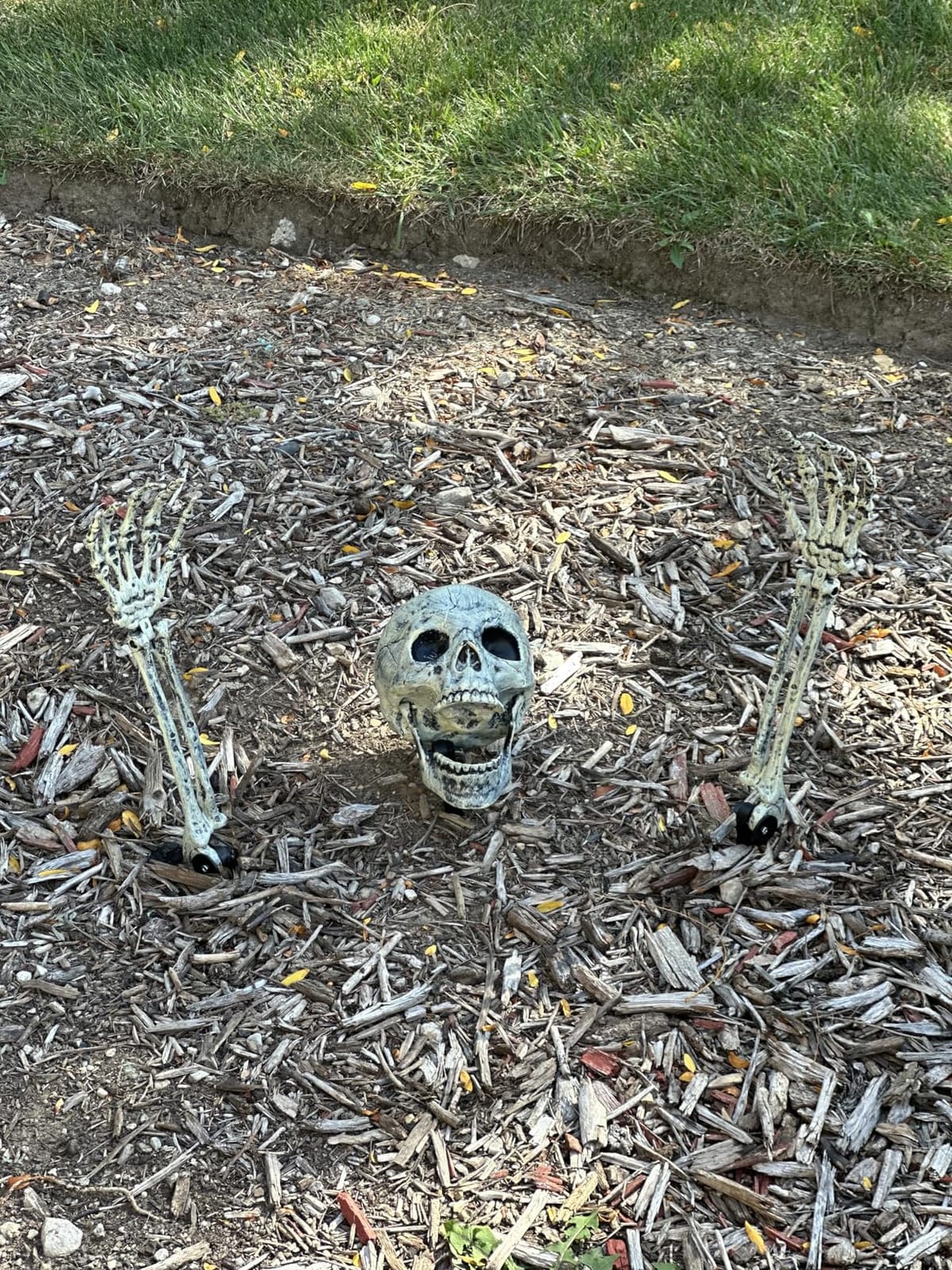 3 Pc Realistic Skeleton Yard Stakes, Halloween Decorations Outdoor customer photo 1