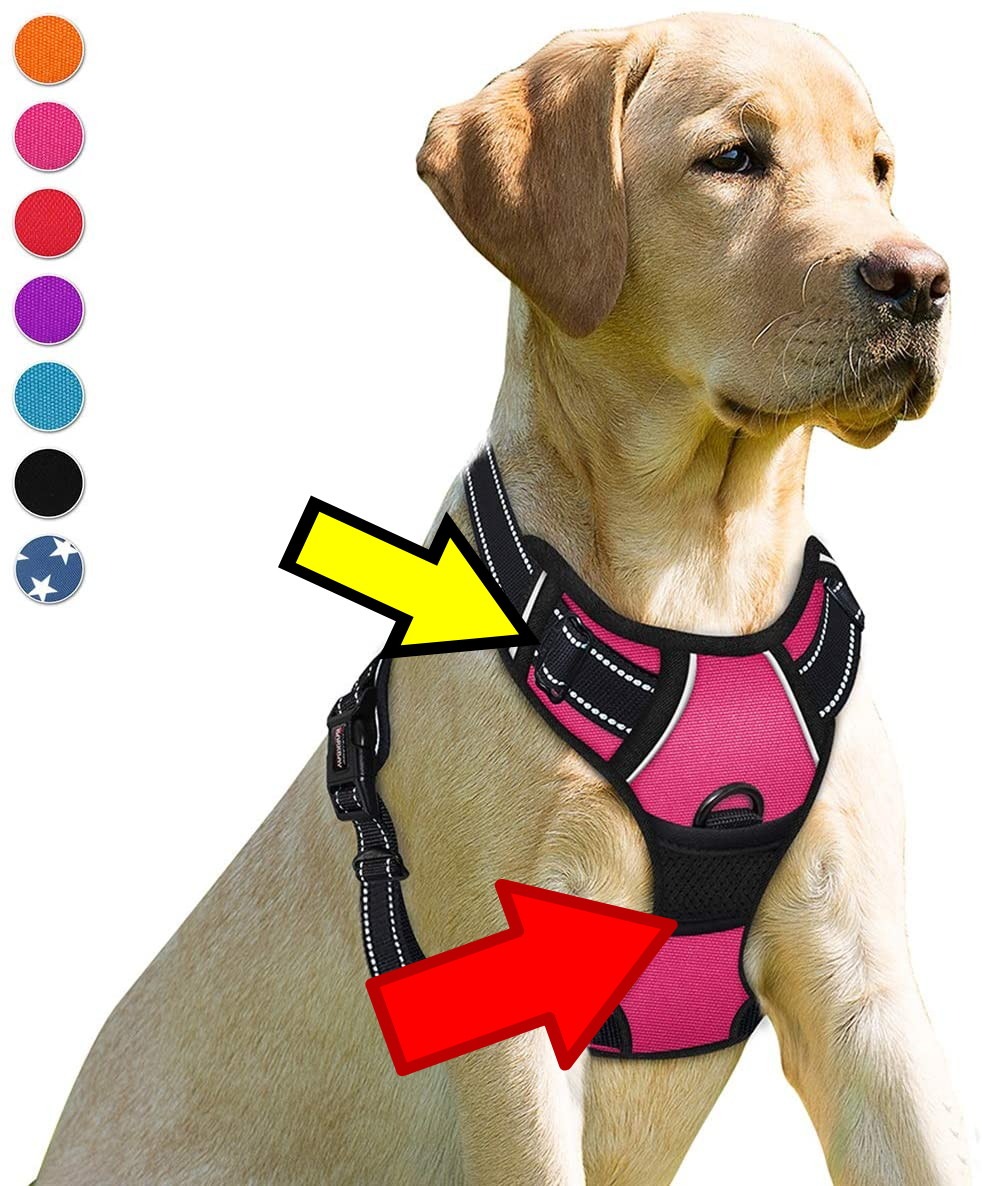 BARKBAY Dog Harness No Pull for Large Dogs Front Back Clips,Dog Vest customer photo 1