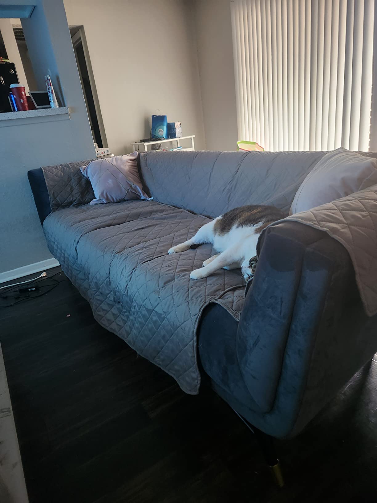 Modway Adept Contemporary Mid-Century Modern Performance Velvet Upholstered Tufted Sofa in Ivory customer photo 1