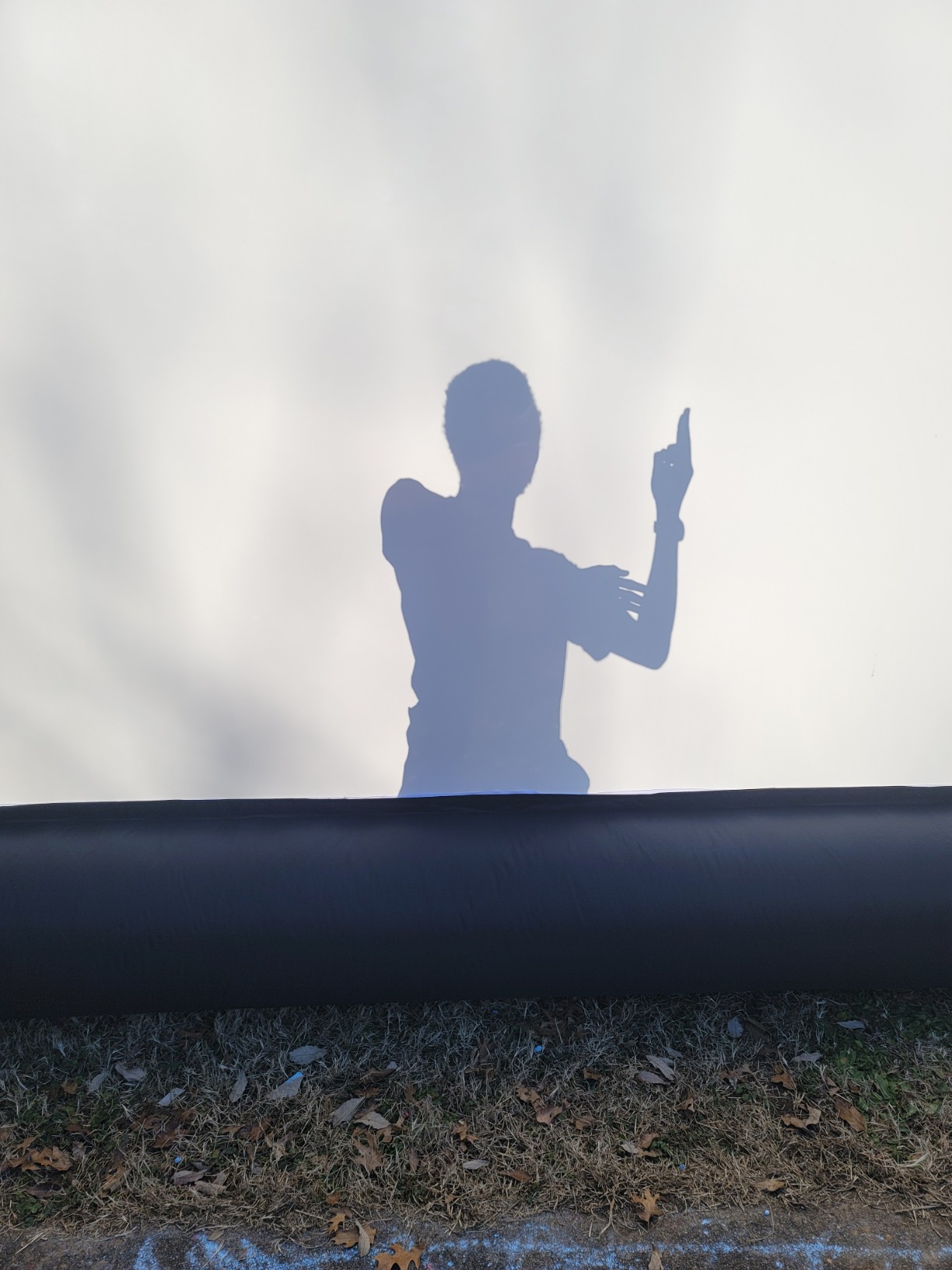 20 ft Outdoor Projector Screen - Supports Front and Rear Projection - Includes Inflation Fan, Tie-Downs and Storage Bag - Inflatable Projector Screen customer photo 2