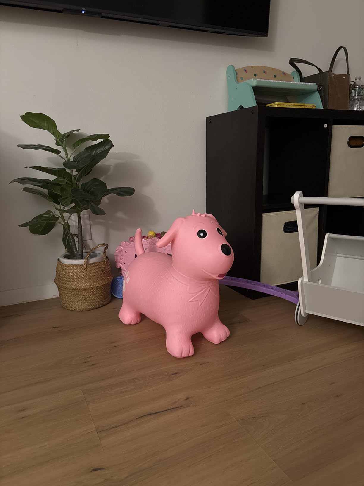 INPANY Bouncy Horse Hopper Toys, 2-4 Kids Riding Horse, Gifts Toy for Kids customer photo 1