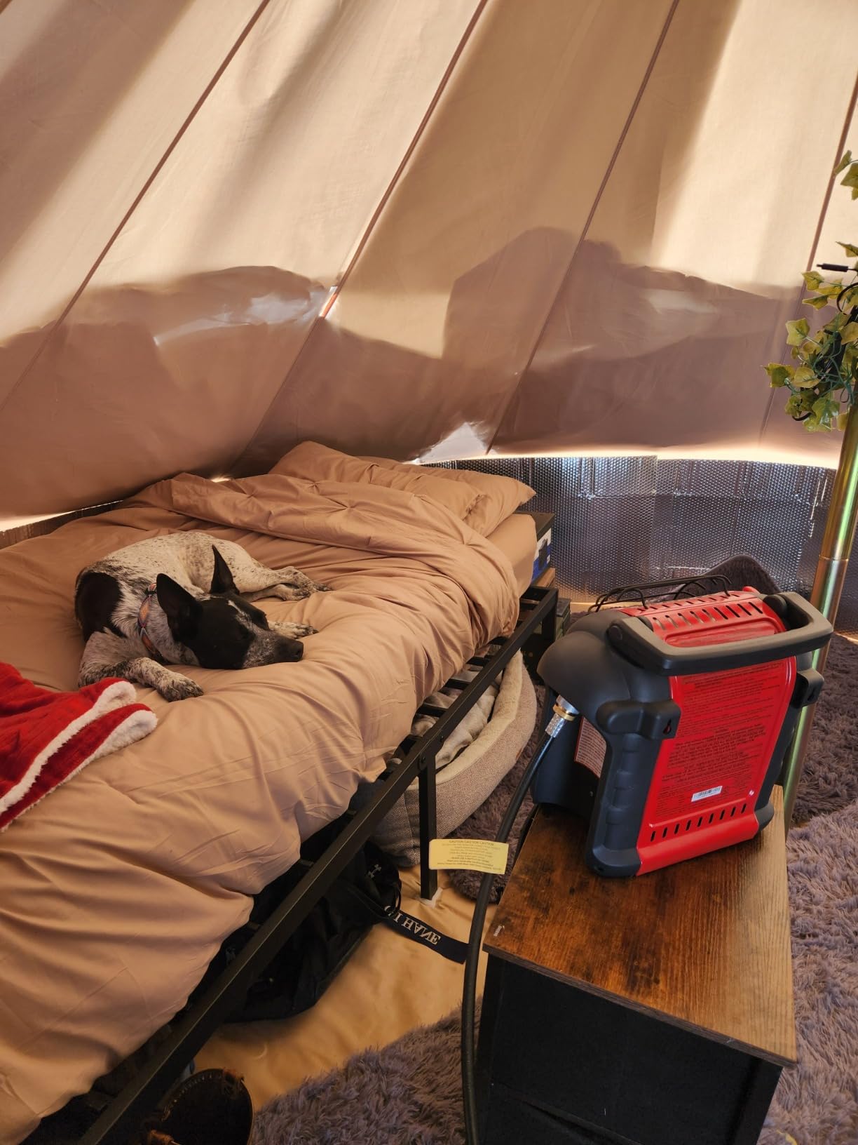 DANCHEL OUTDOOR B5PRO Canvas Bell Tent with Stove Jack 13ft/16.4ft/20ft customer photo 1