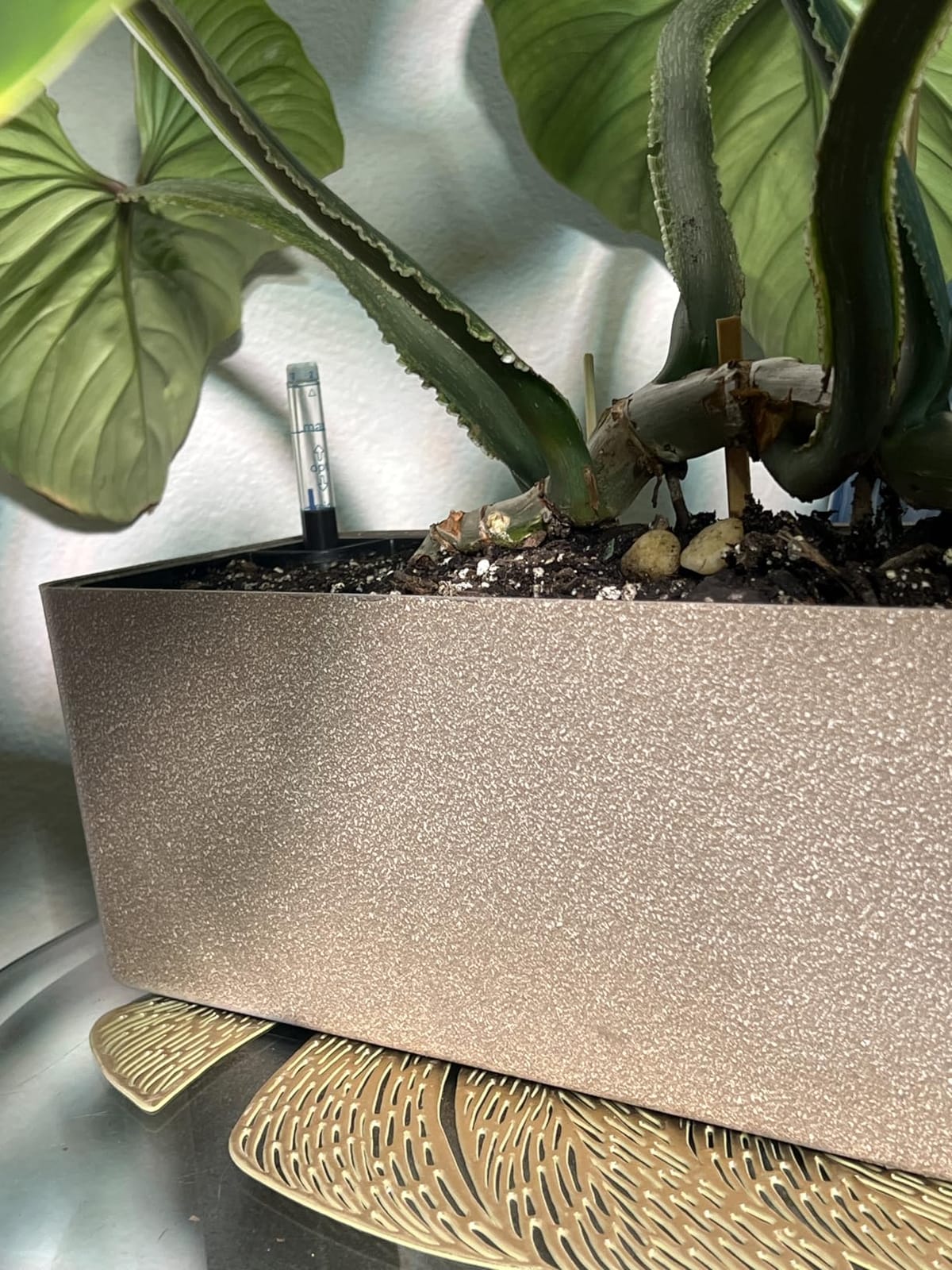 Elongated Self Watering Planter Pots Window Box 5.5 x 16 inch Indoor Home Garden Modern Decorative Planter Pot for All House Plants Flowers Herbs (White,1-Pack) customer photo 1
